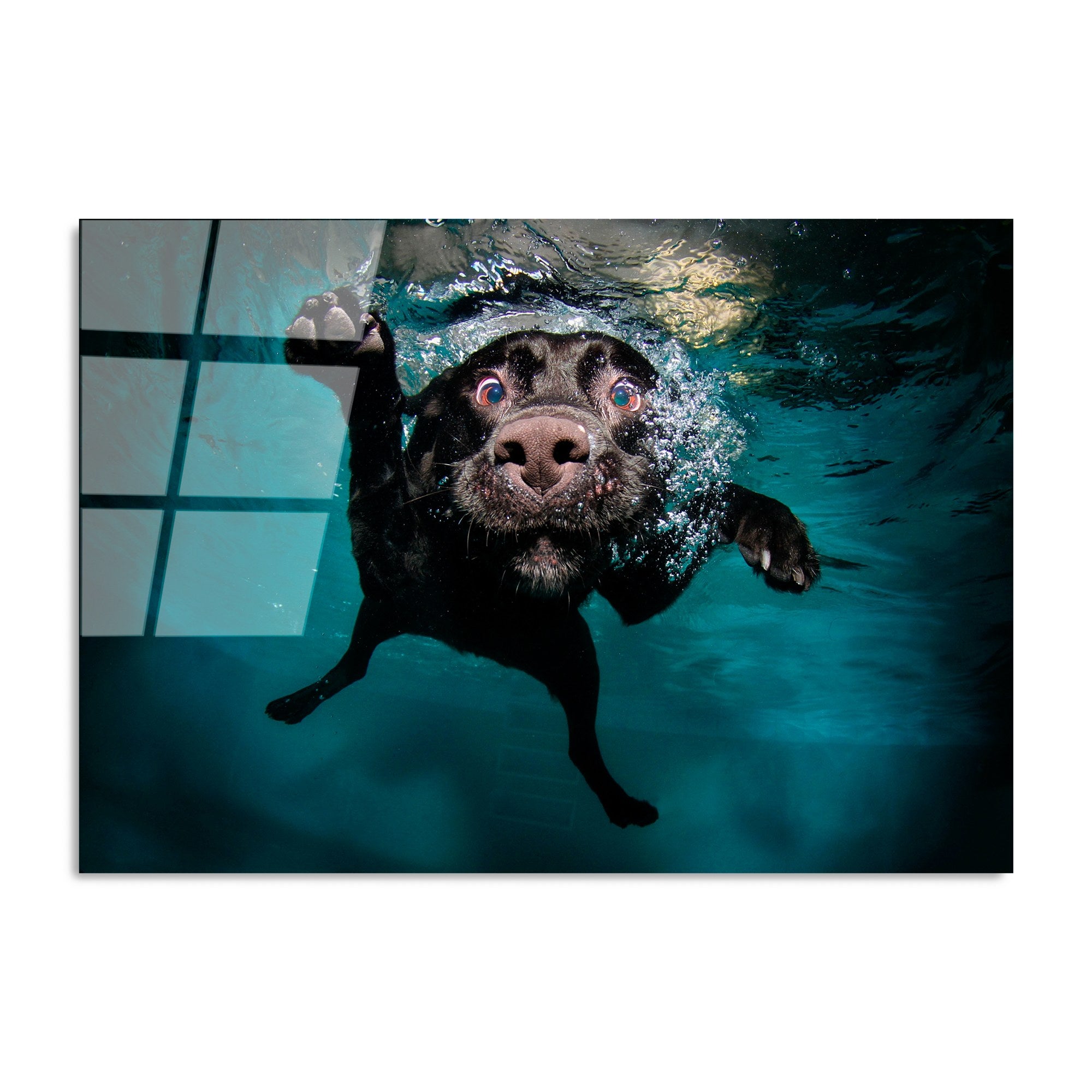 Quadro Decorativo em Vidro Temperado 100% (4 mm) UV-166 70x100 cm – Multicolor – Ref. 123BZM1229