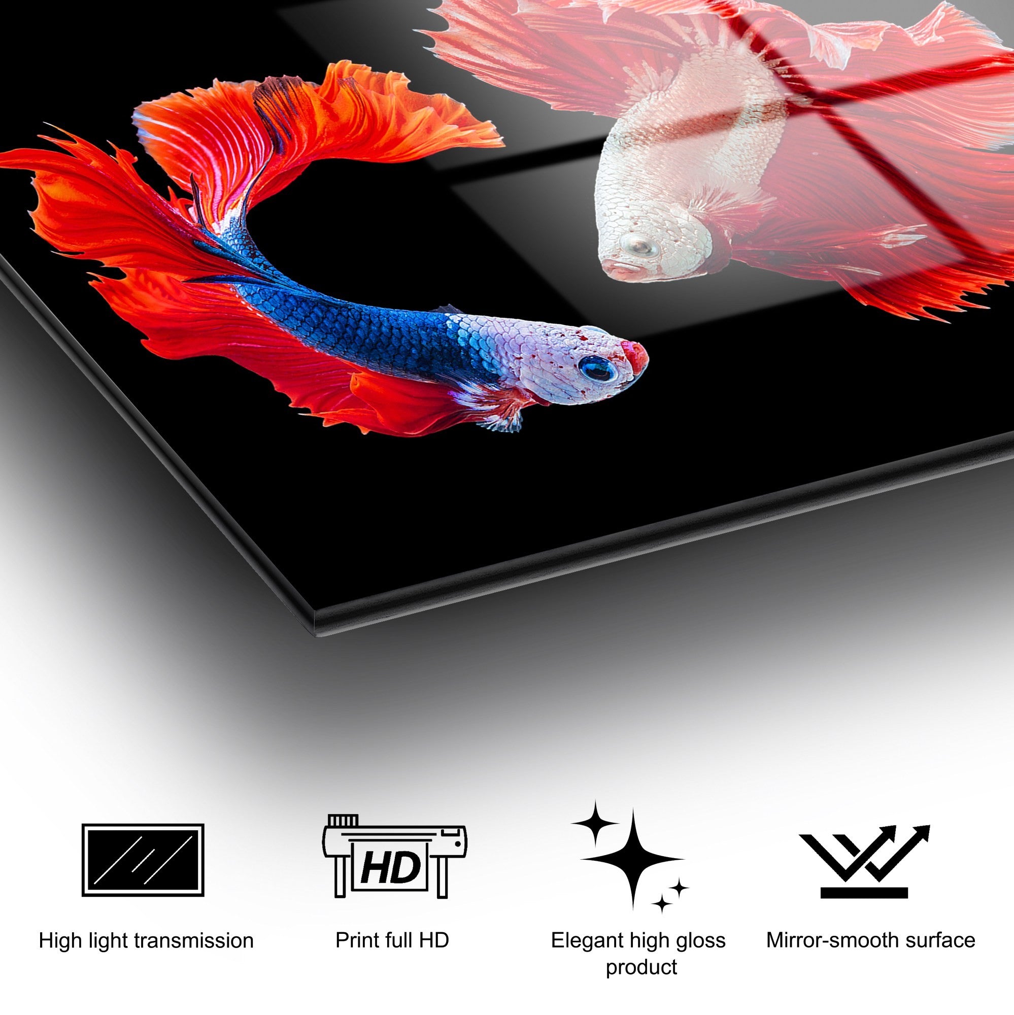 Quadro em Vidro Temperado Decorativo 70 x 100 cm – Multicolor, 4 mm (UV‑167)