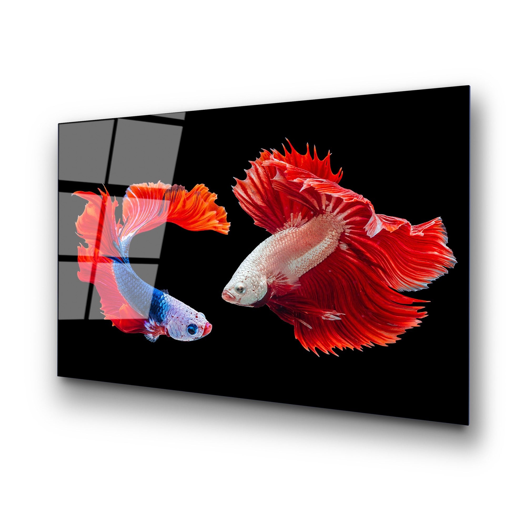 Quadro em Vidro Temperado Decorativo 70 x 100 cm – Multicolor, 4 mm (UV‑167)