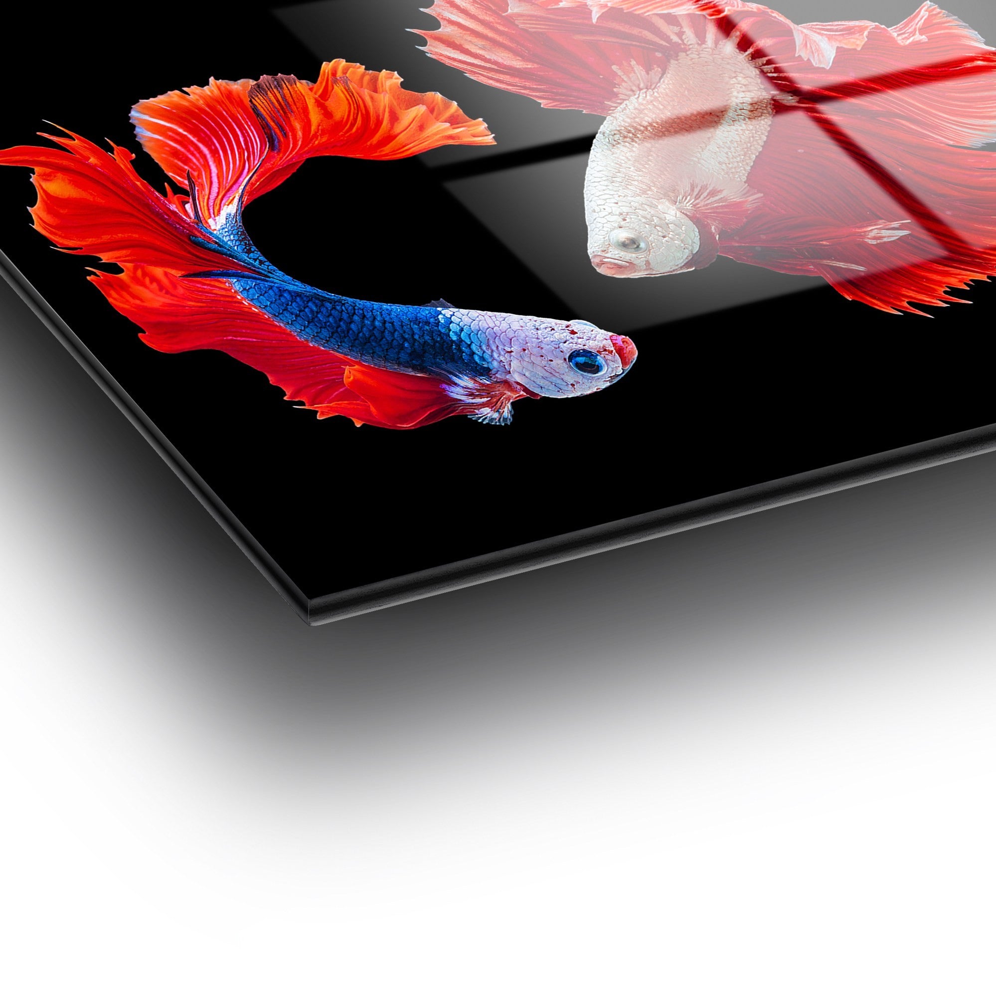 Quadro em Vidro Temperado Decorativo 70 x 100 cm – Multicolor, 4 mm (UV‑167)