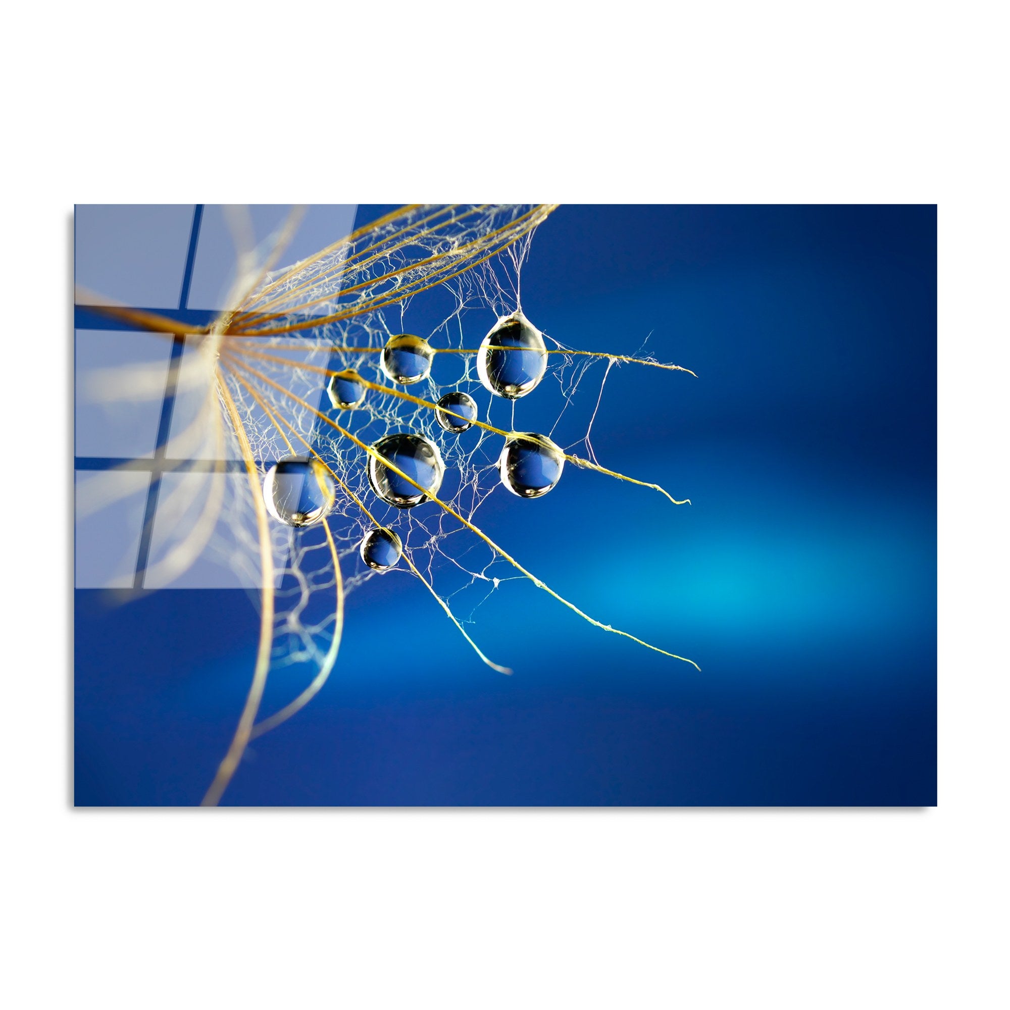 Quadro Decorativo em Vidro Temperado 100% 70 x 100 cm Multicolor (4 mm) UV-176