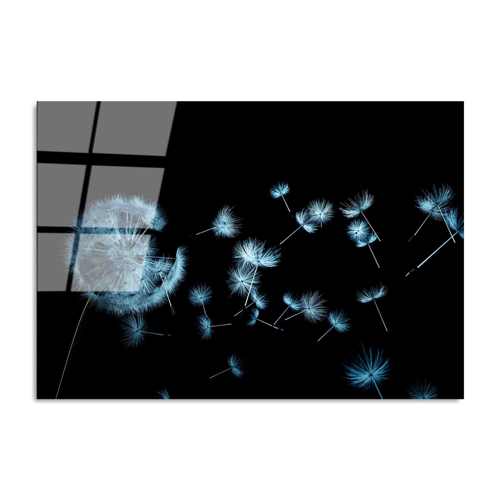 UV-177 Quadro Decorativo em Vidro Temperado 100% 4 mm 70 x 100 cm Multicolor