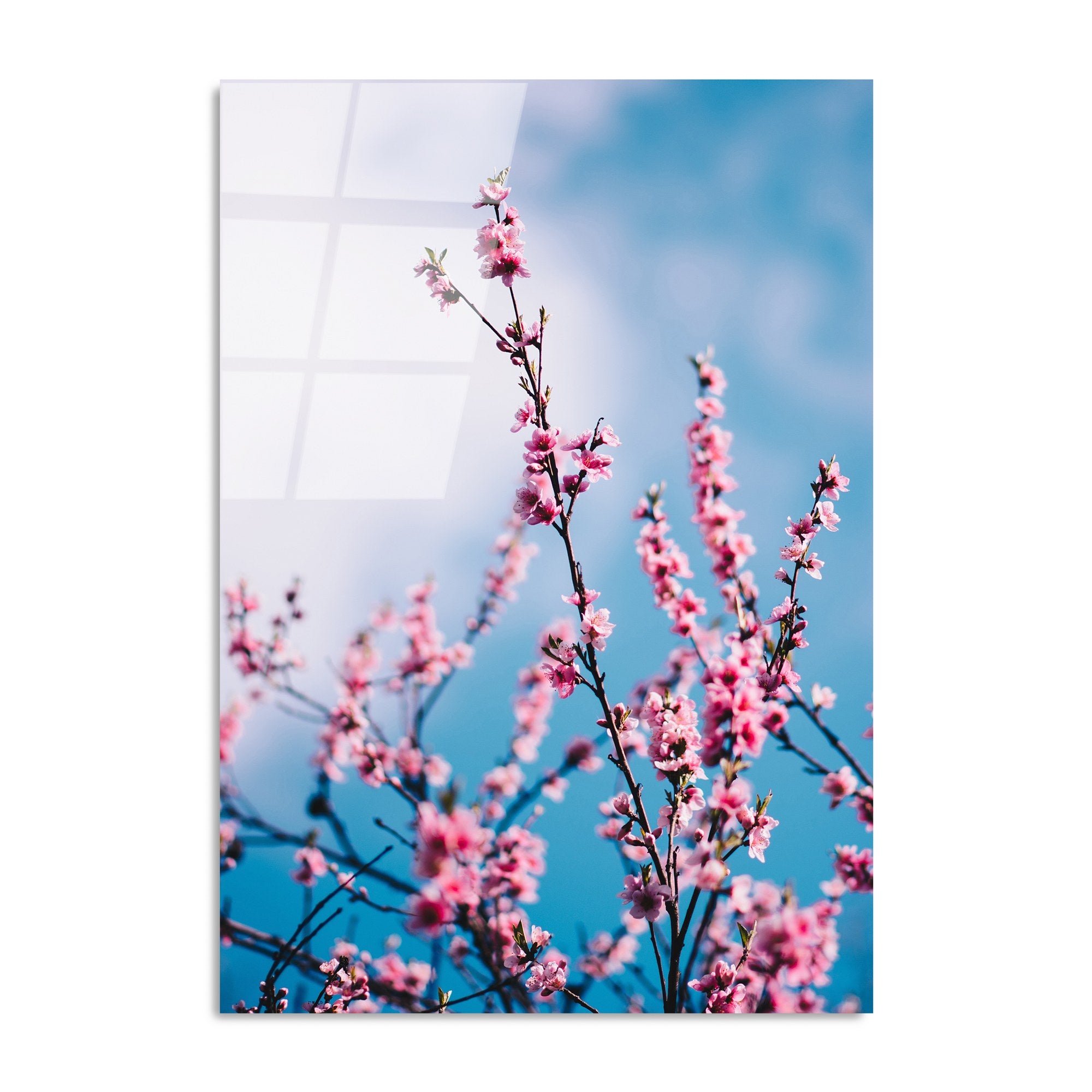 Quadro Decorativo em Vidro Temperado UV-186, 70 x 100 cm, Multicolor, 4 mm