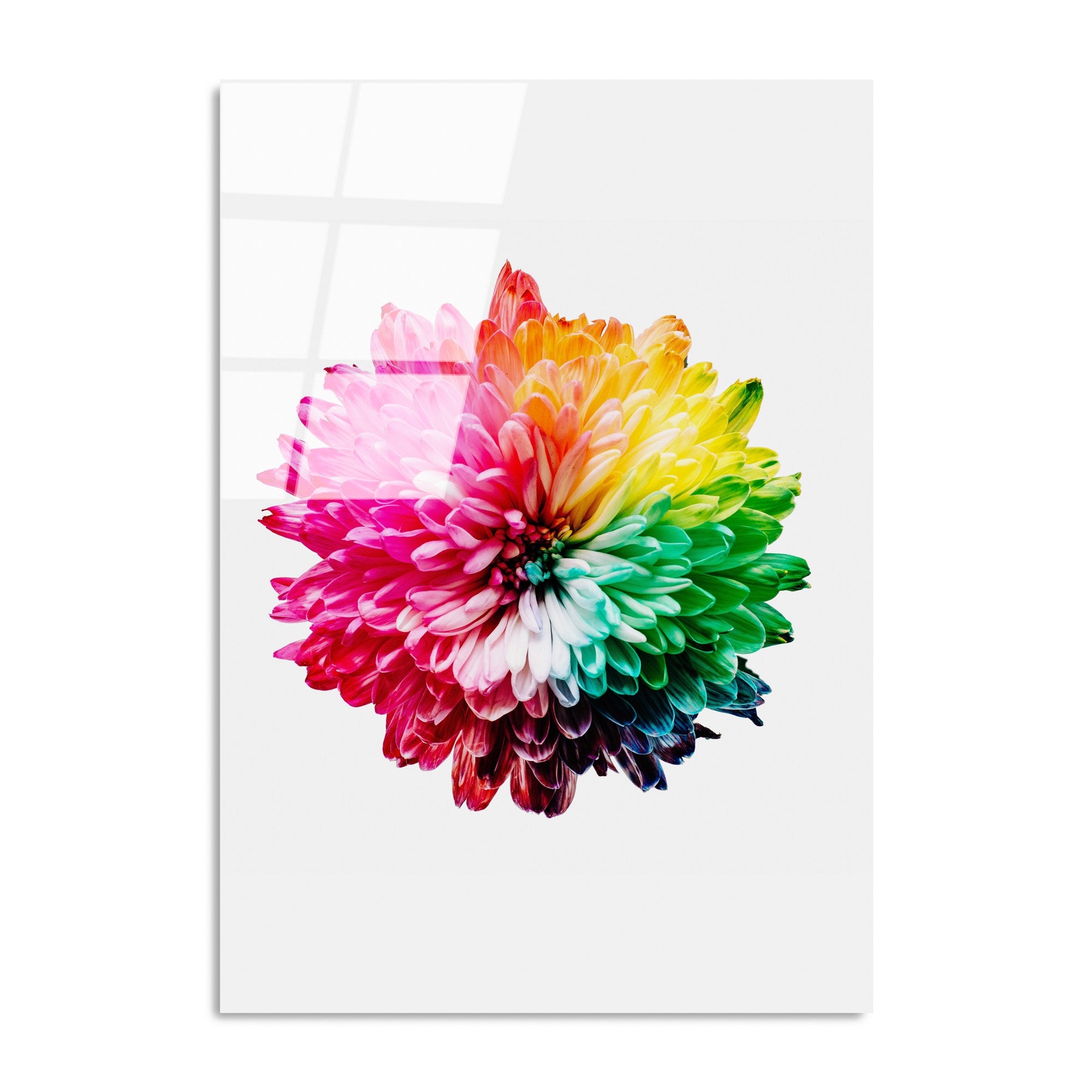 Quadro Decorativo em Vidro Temperado UV-202 70x100 cm — Multicolor, 100% Vidro Temperado 4 mm