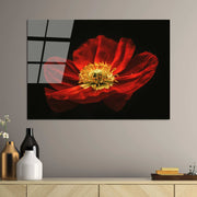 Quadro Decorativo em Vidro 100% Temperado UV-204, Multicolor, 70 x 100 cm (4 mm)