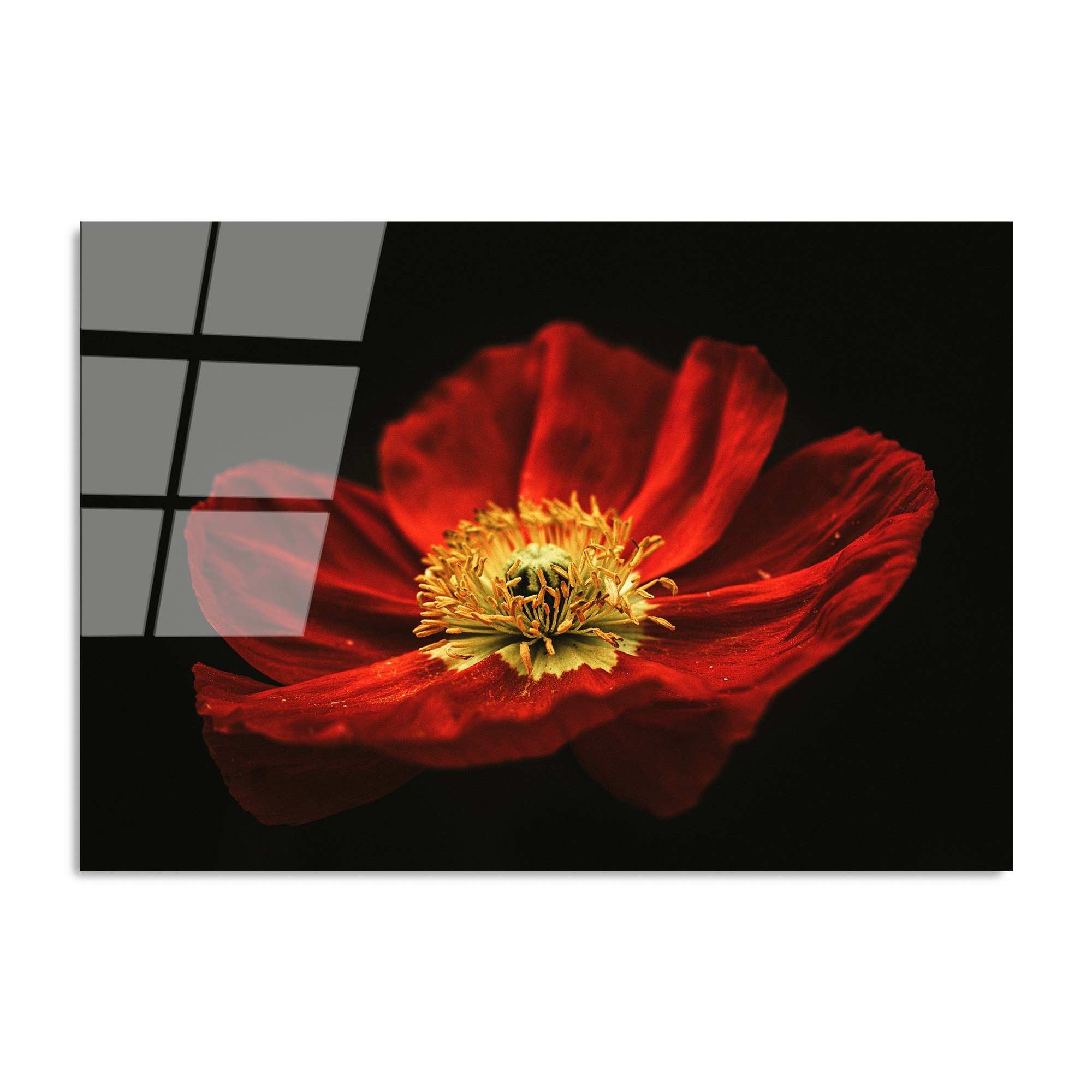 Quadro Decorativo em Vidro 100% Temperado UV-204, Multicolor, 70 x 100 cm (4 mm)