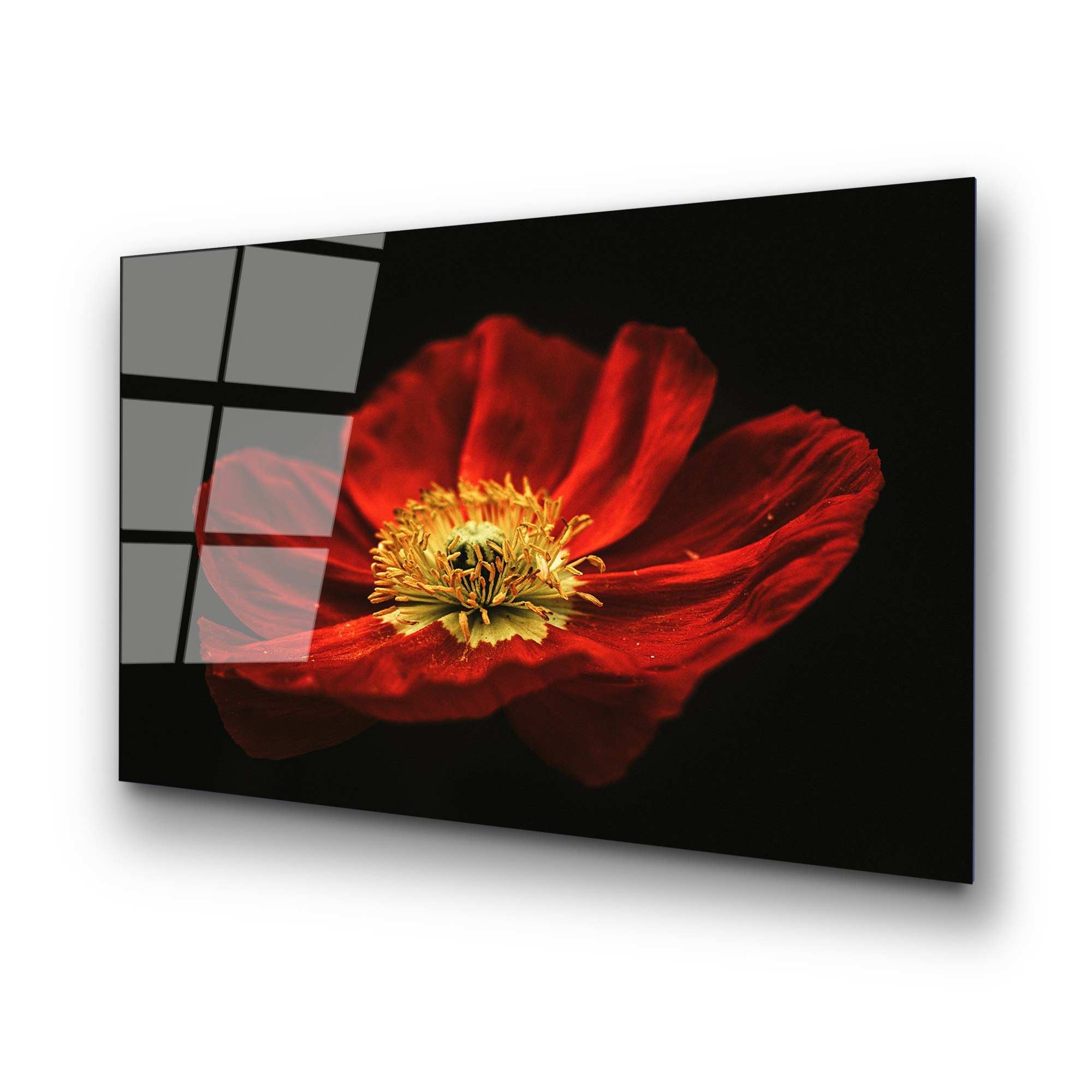 Quadro Decorativo em Vidro 100% Temperado UV-204, Multicolor, 70 x 100 cm (4 mm)