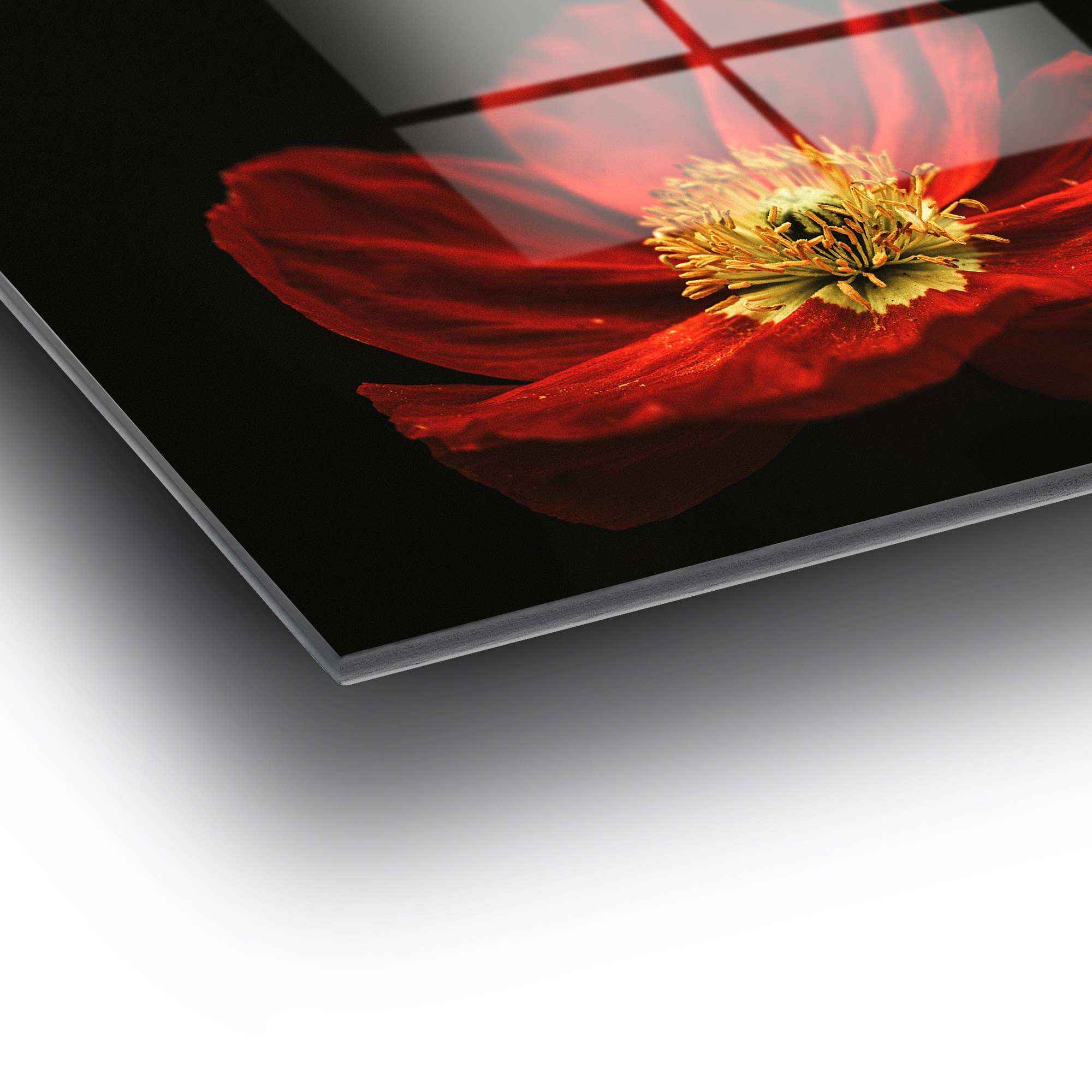 Quadro Decorativo em Vidro 100% Temperado UV-204, Multicolor, 70 x 100 cm (4 mm)