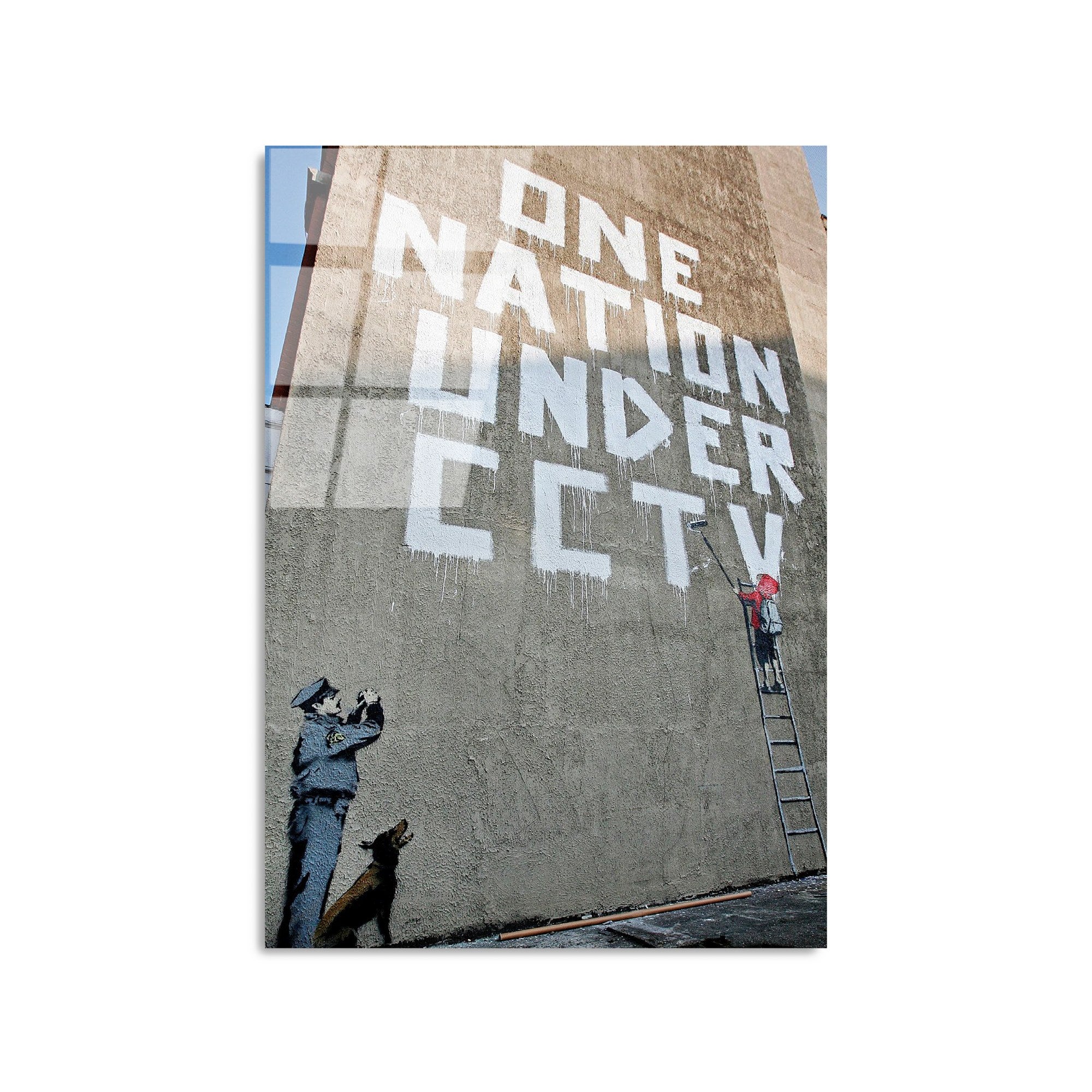 Quadro Decorativo em Vidro Temperado UV-498, Multicolor, 45 x 65 cm, 4 mm