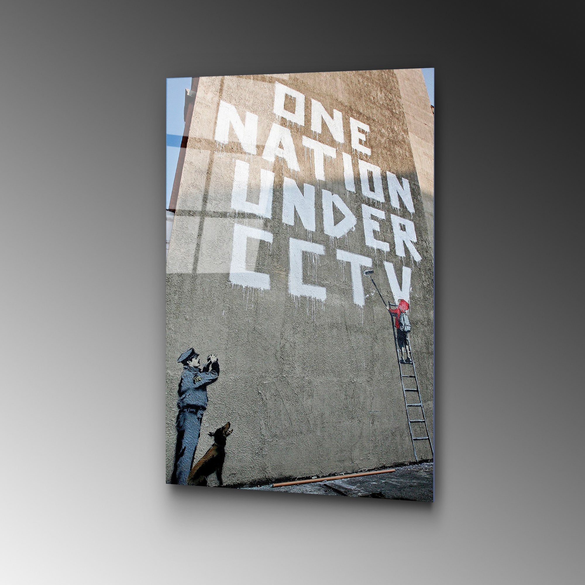 Quadro Decorativo em Vidro Temperado UV-498, Multicolor, 45 x 65 cm, 4 mm