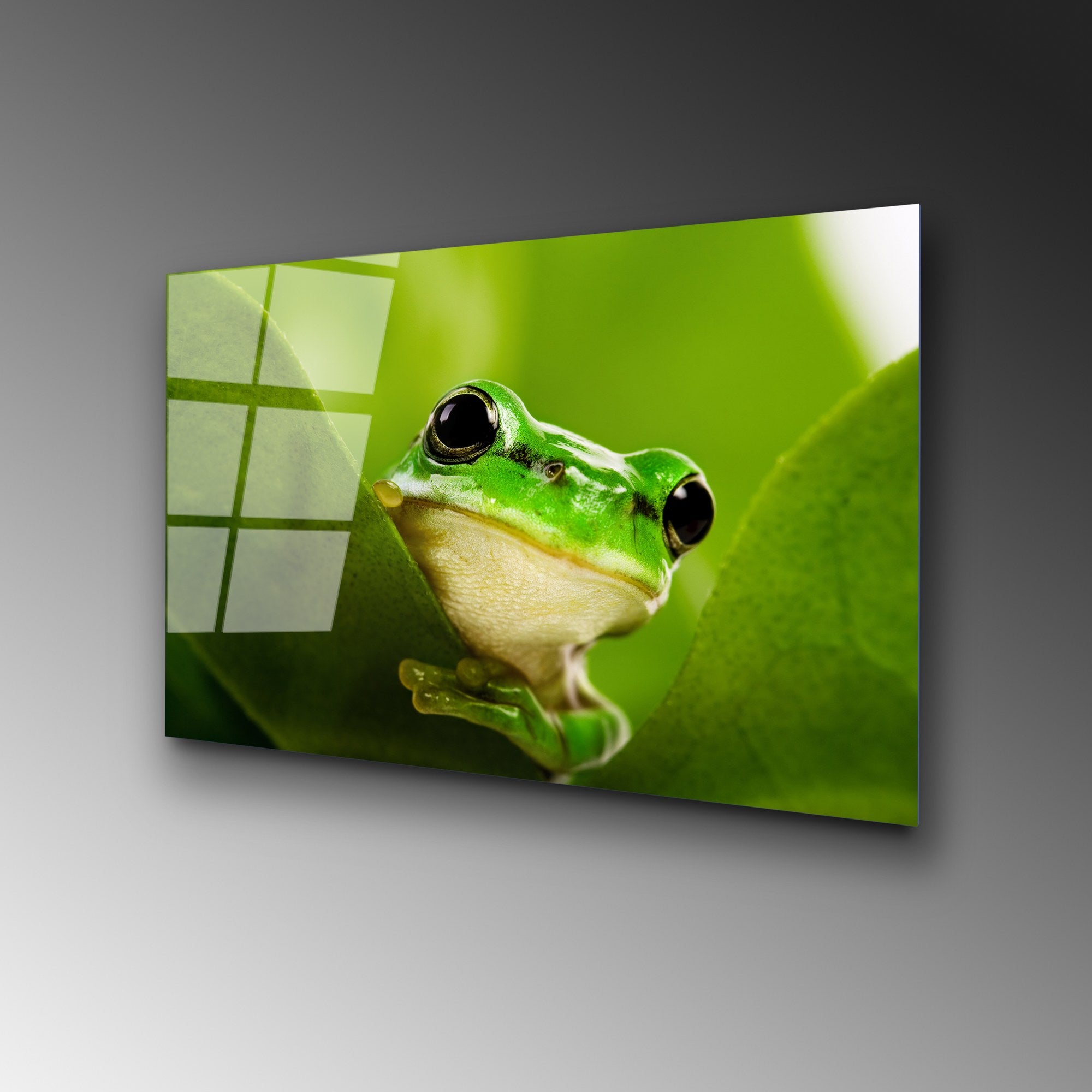 Quadro Decorativo em Vidro 100% Temperado UV-271, Multicolor, 50 x 70 cm (4 mm)