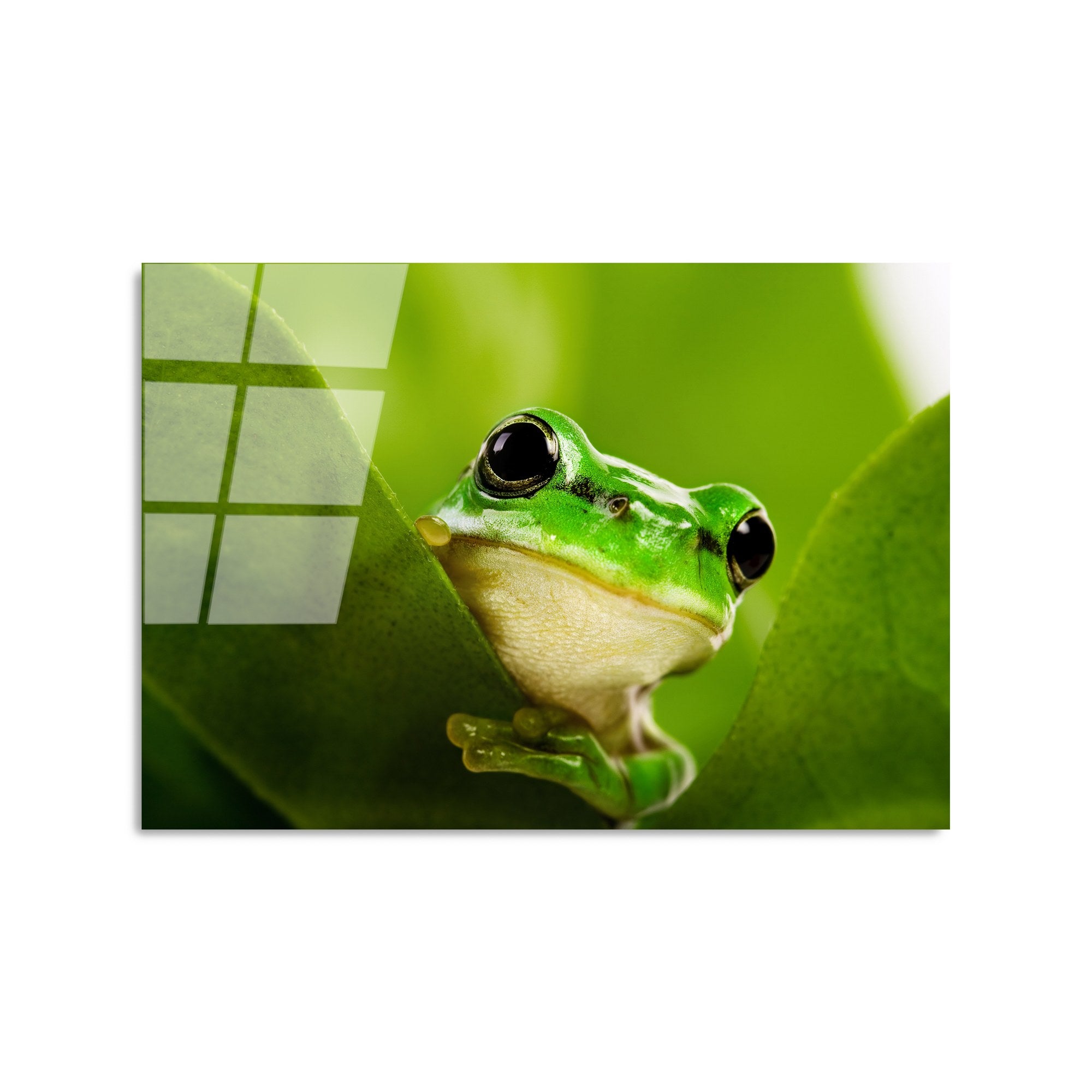 Quadro Decorativo em Vidro 100% Temperado UV-271, Multicolor, 50 x 70 cm (4 mm)