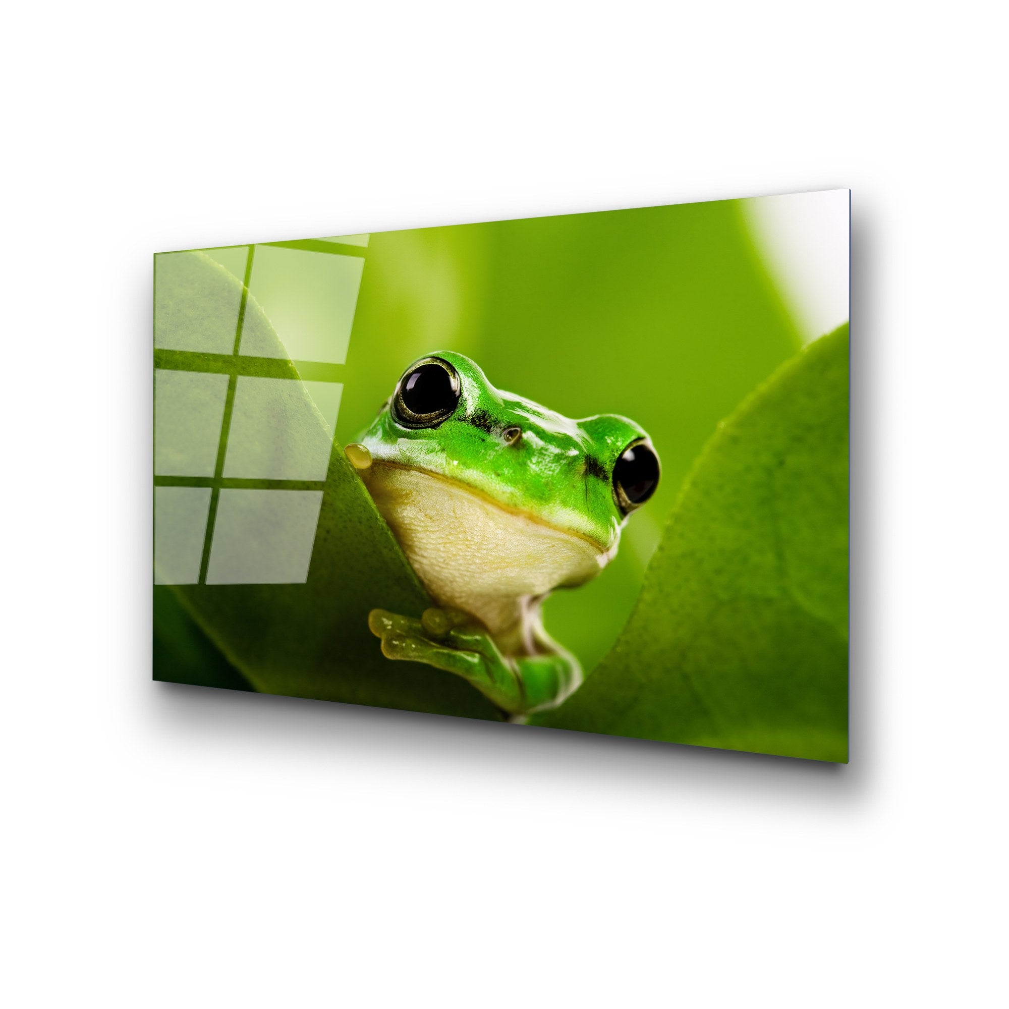 Quadro Decorativo em Vidro 100% Temperado UV-271, Multicolor, 50 x 70 cm (4 mm)