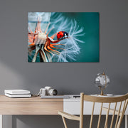 Quadro Decorativo em Vidro Temperado UV-277, Multicolor, 50 x 70 cm (4 mm)