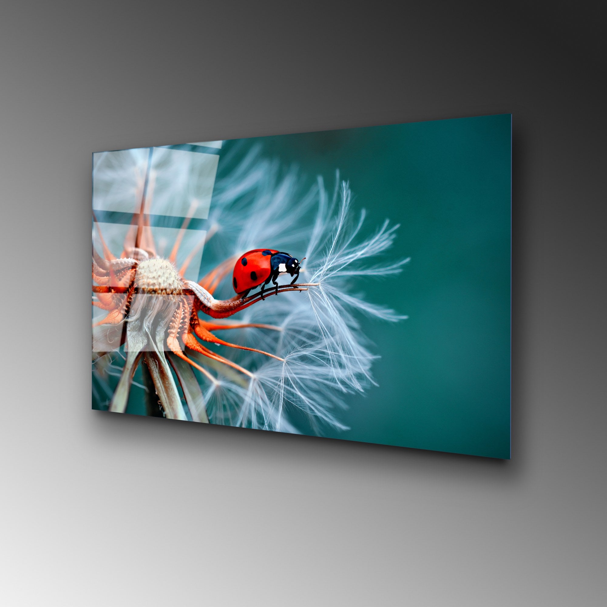 Quadro Decorativo em Vidro Temperado UV-277, Multicolor, 50 x 70 cm (4 mm)