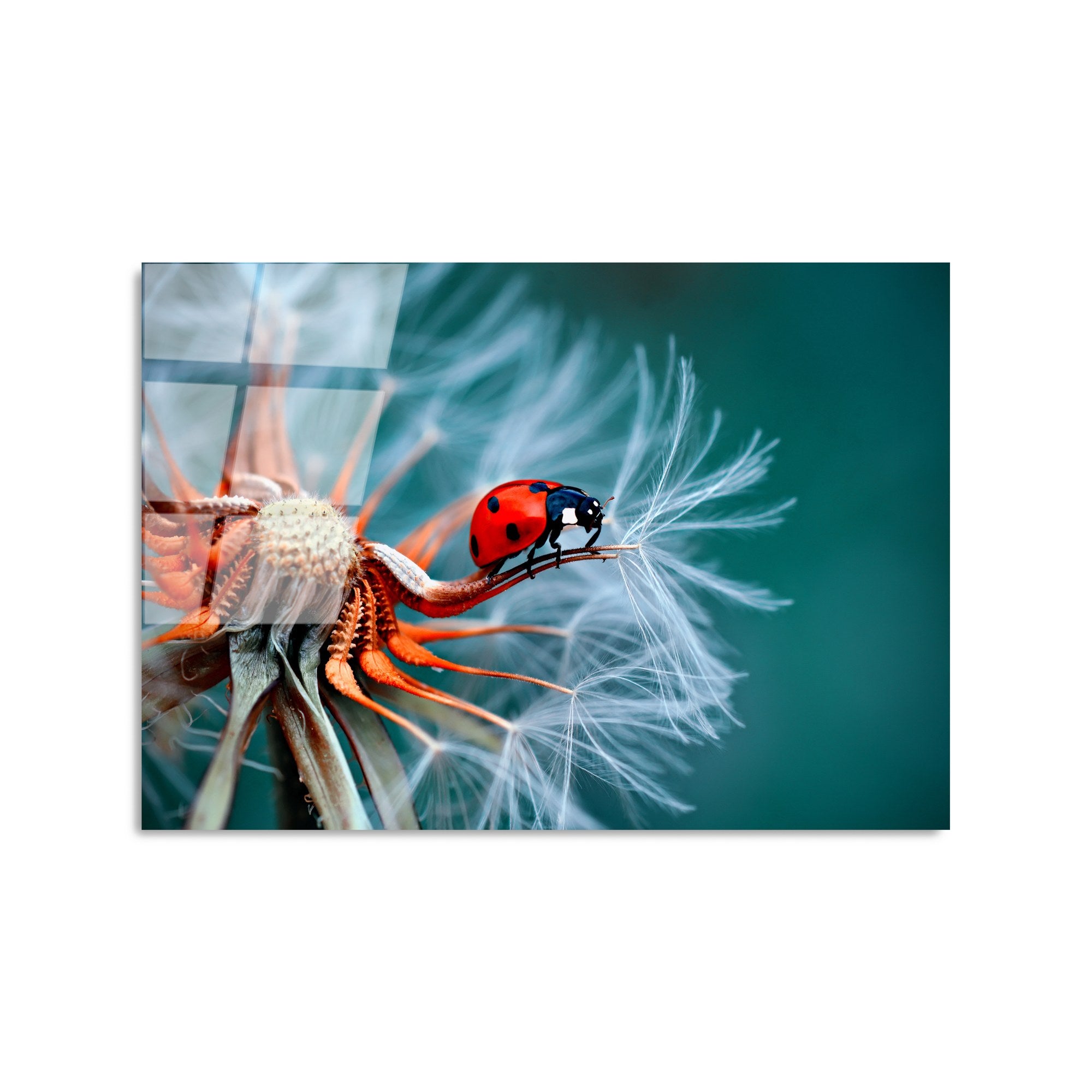 Quadro Decorativo em Vidro Temperado UV-277, Multicolor, 50 x 70 cm (4 mm)