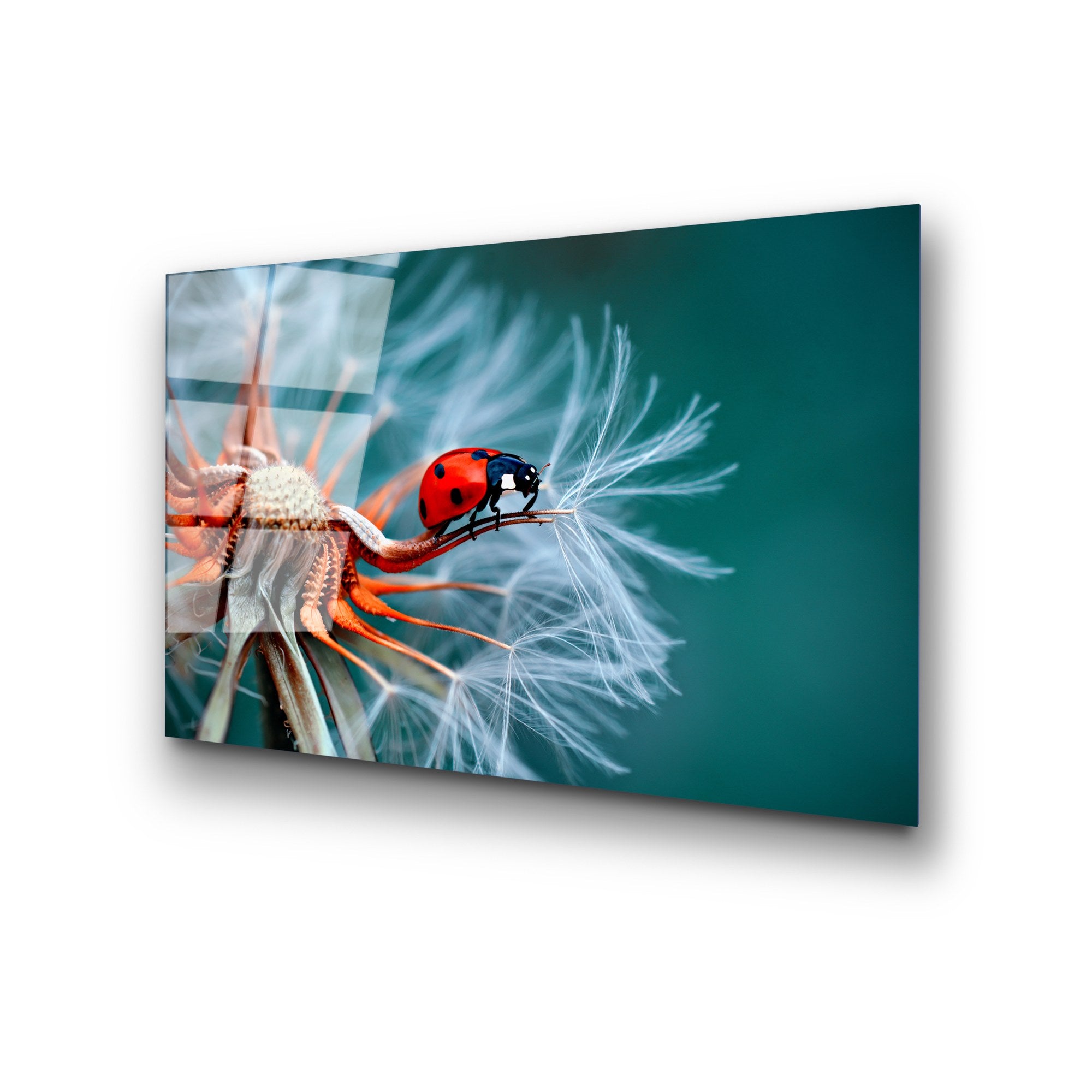 Quadro Decorativo em Vidro Temperado UV-277, Multicolor, 50 x 70 cm (4 mm)