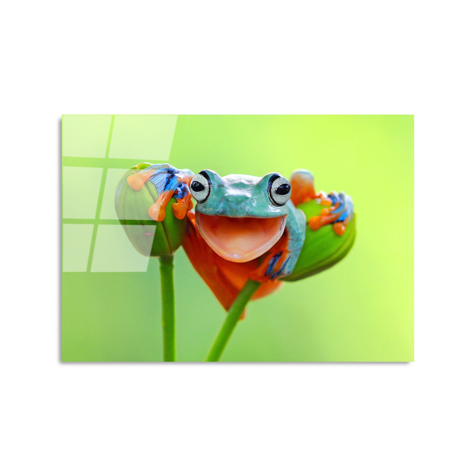 Quadro Decorativo em Vidro Temperado UV-278 – Multicolor – 50 x 70 cm – 4 mm