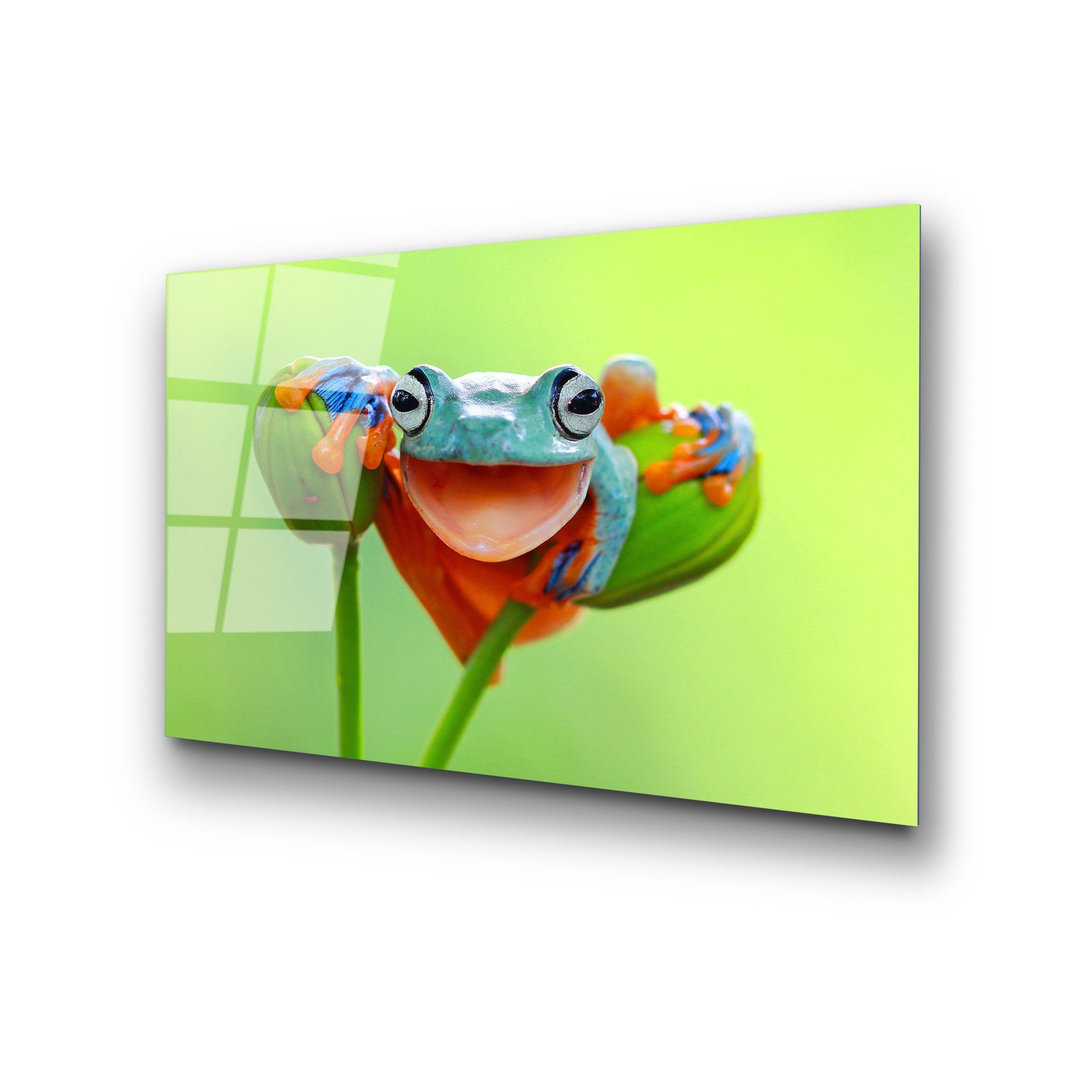 Quadro Decorativo em Vidro Temperado UV-278 – Multicolor – 50 x 70 cm – 4 mm