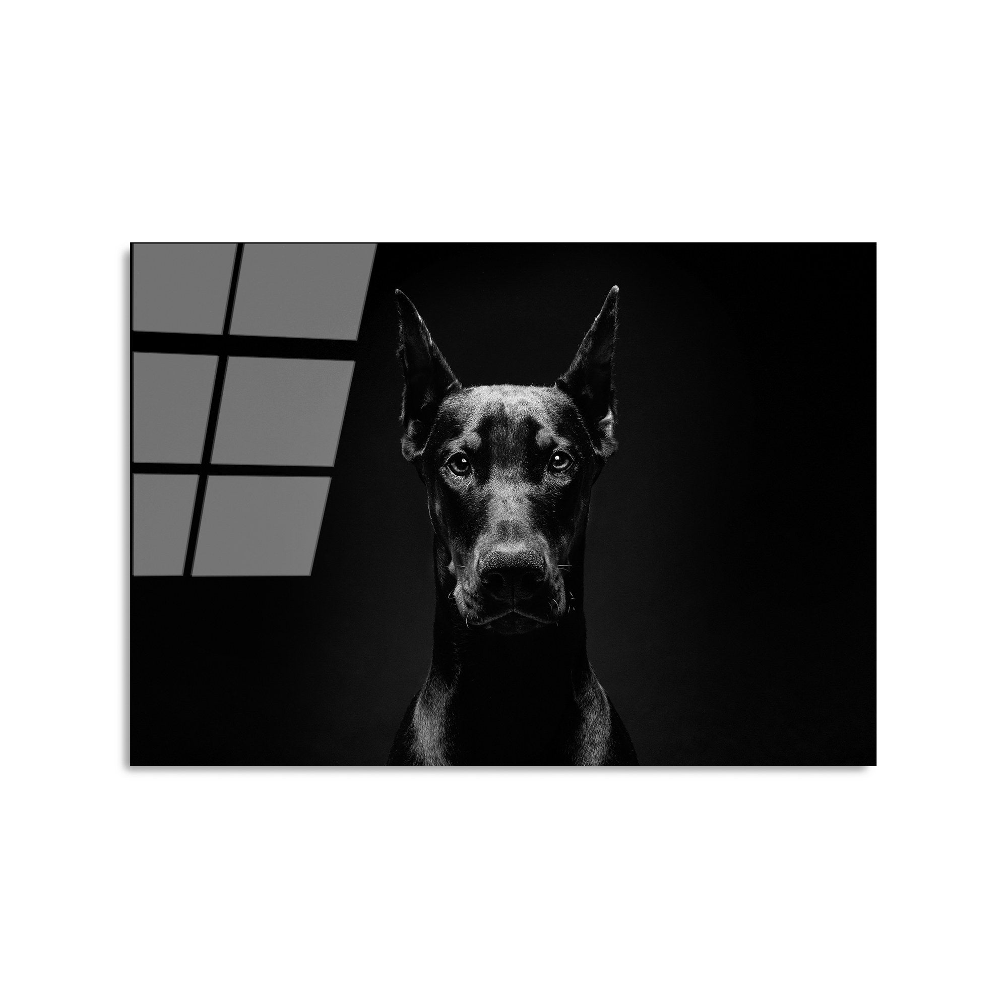 Quadro Decorativo em Vidro Temperado UV-280, 50 x 70 cm, Multicolor, 4 mm