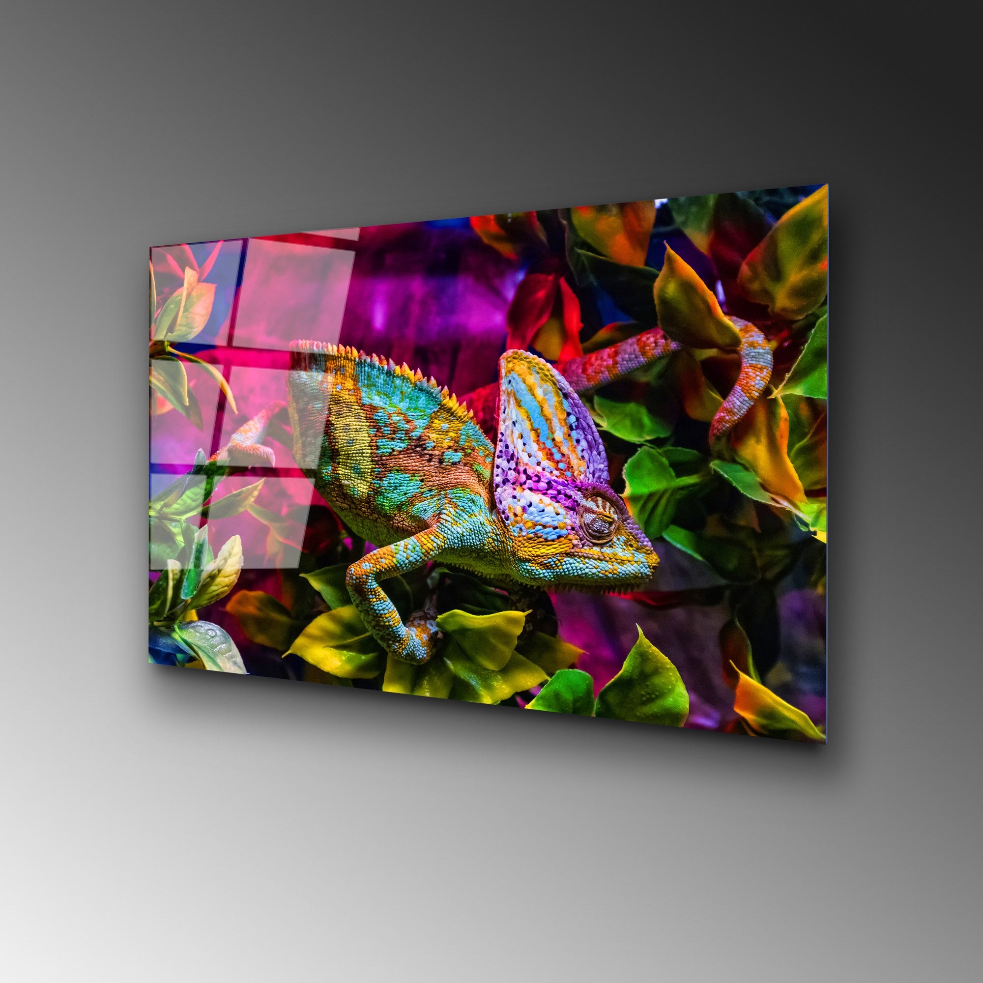 Quadro Decorativo em Vidro Temperado 4 mm (50x70 cm) Multicolor – UV-281