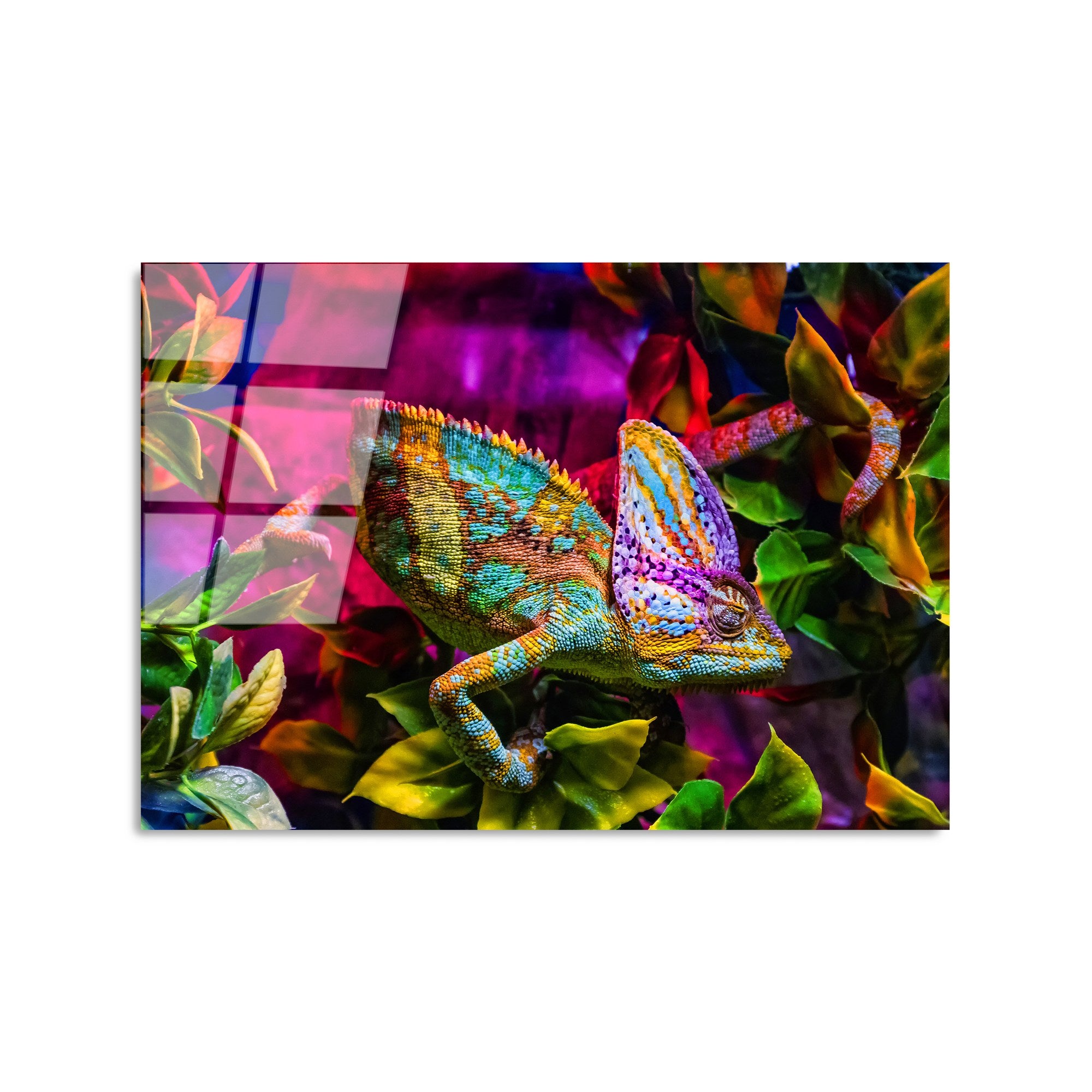 Quadro Decorativo em Vidro Temperado 4 mm (50x70 cm) Multicolor – UV-281