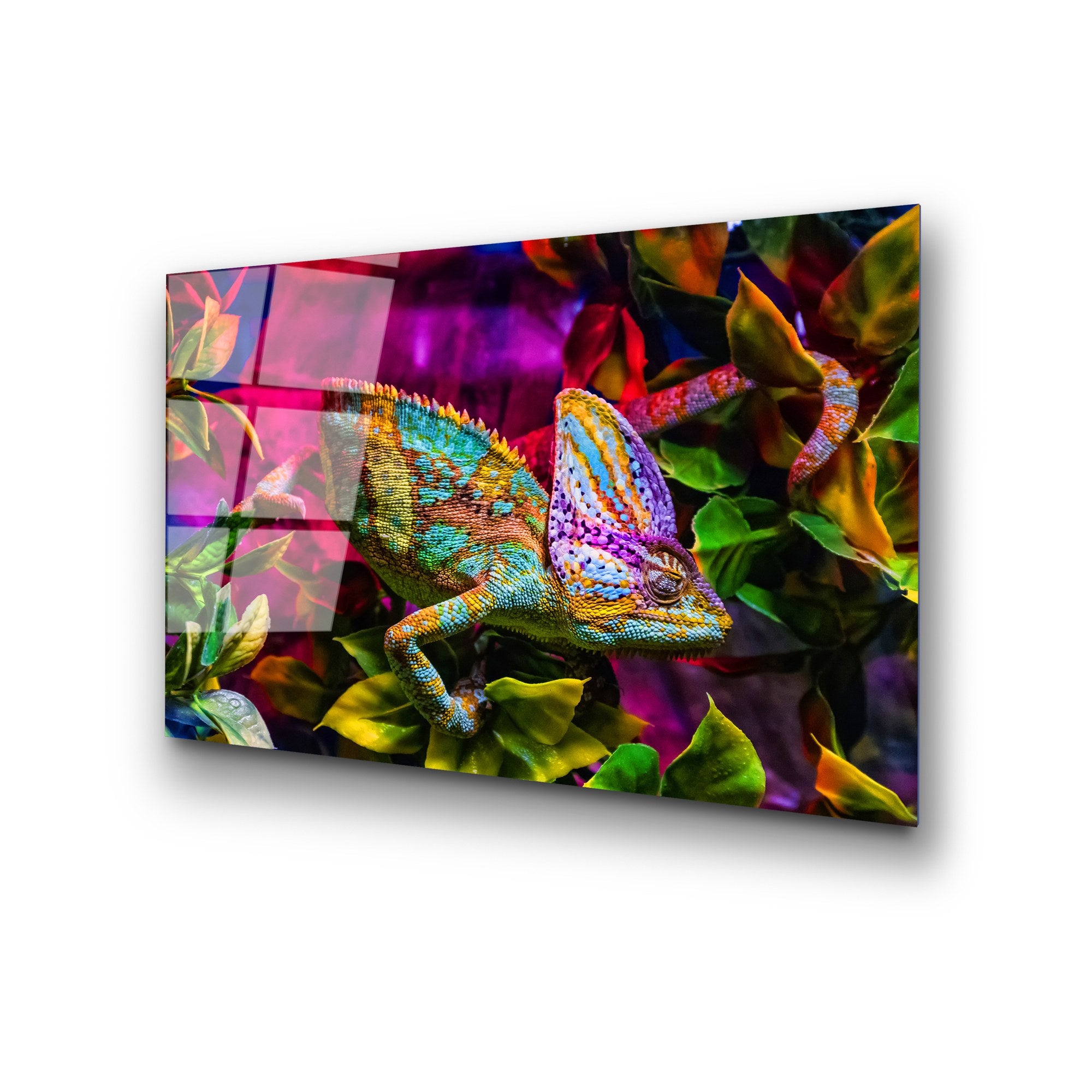 Quadro Decorativo em Vidro Temperado 4 mm (50x70 cm) Multicolor – UV-281