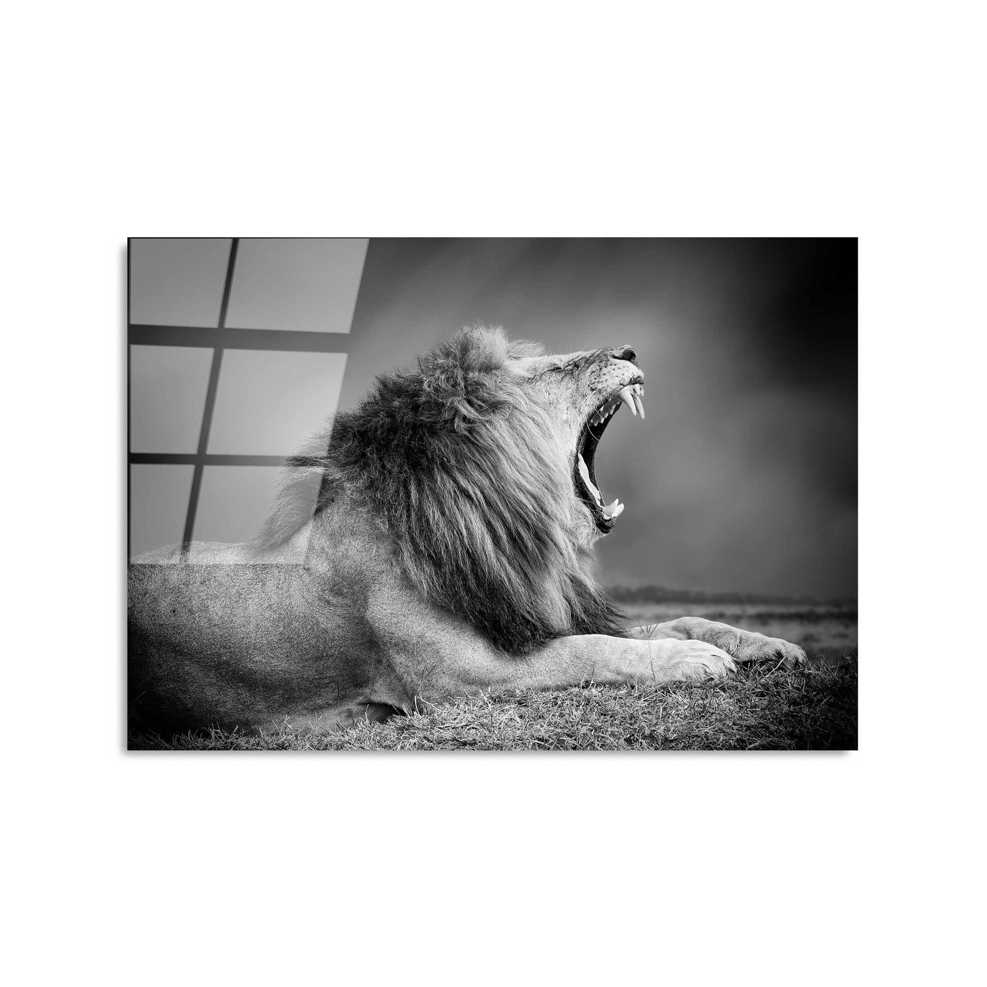 Quadro Decorativo em Vidro Temperado UV-282, 50 x 70 cm, Multicolor, 4 mm