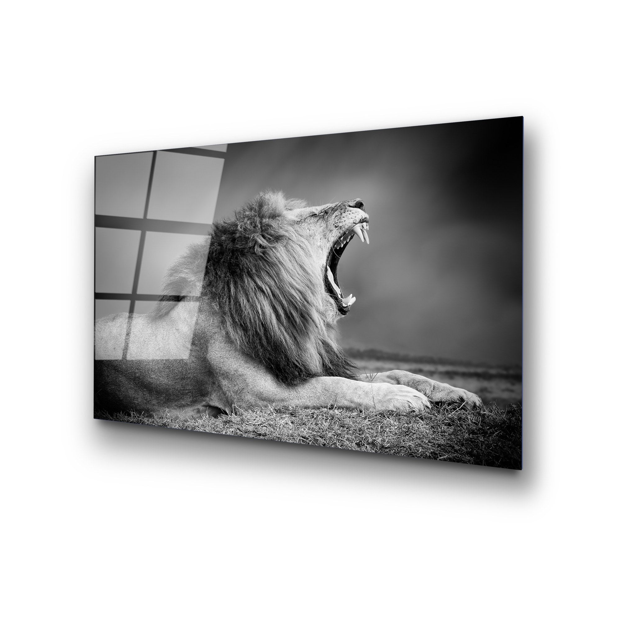 Quadro Decorativo em Vidro Temperado UV-282, 50 x 70 cm, Multicolor, 4 mm