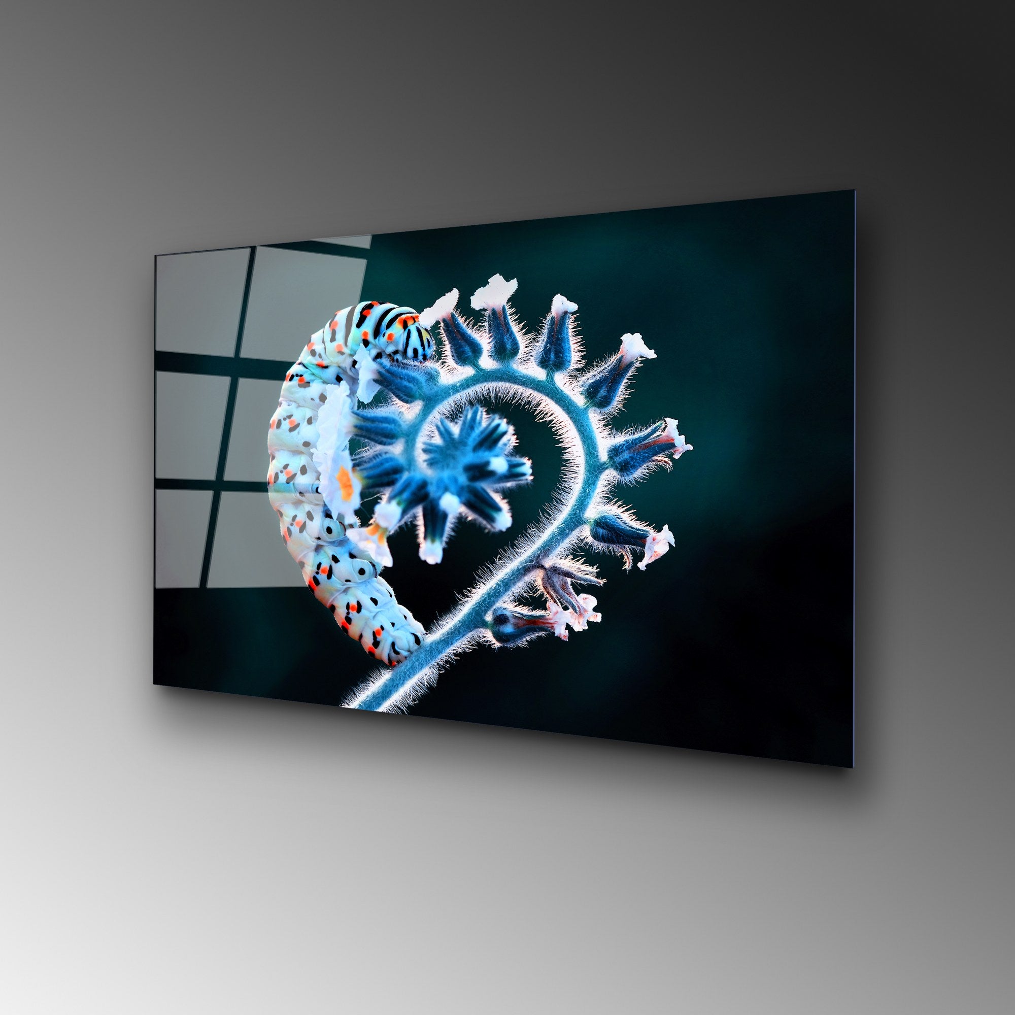 Quadro Decorativo em Vidro Temperado 4 mm 50x70 cm – Multicolor (UV-283)