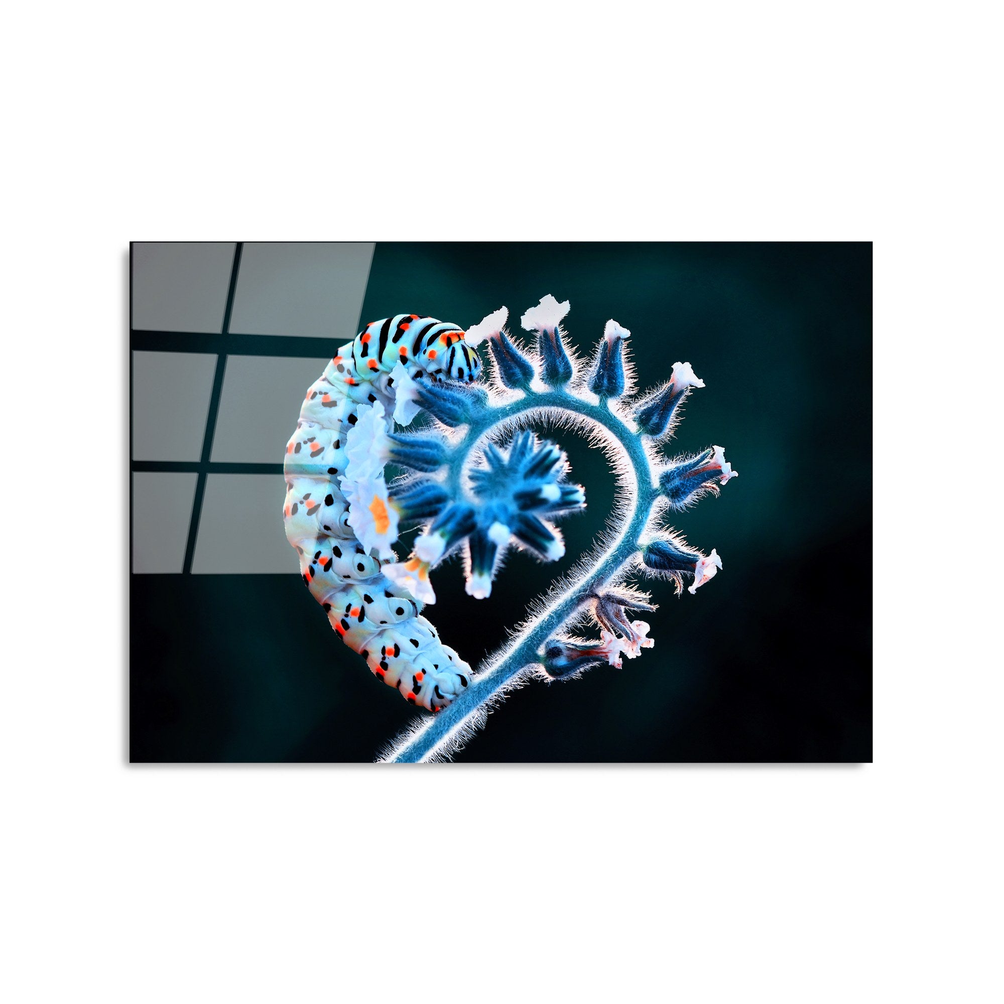 Quadro Decorativo em Vidro Temperado 4 mm 50x70 cm – Multicolor (UV-283)