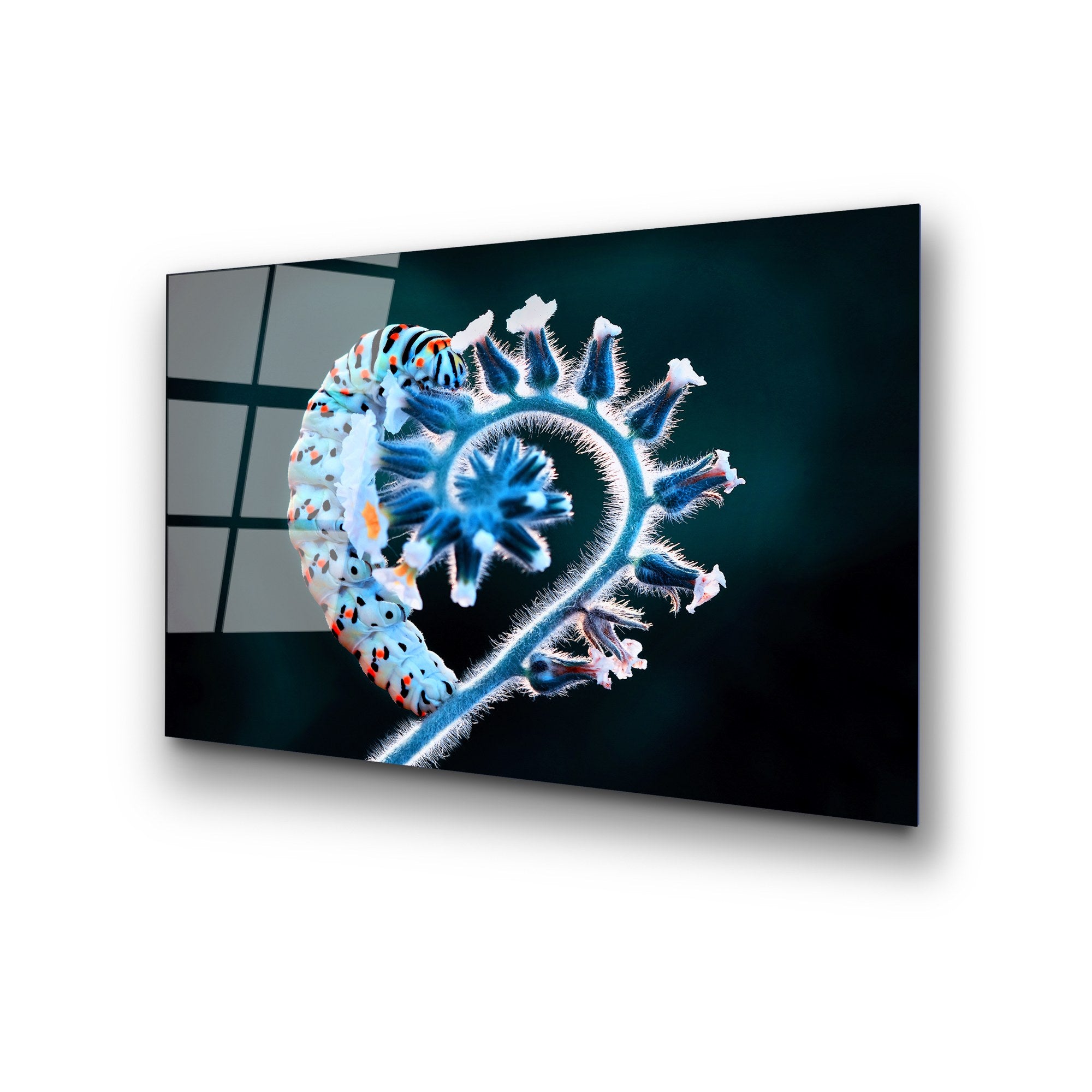 Quadro Decorativo em Vidro Temperado 4 mm 50x70 cm – Multicolor (UV-283)