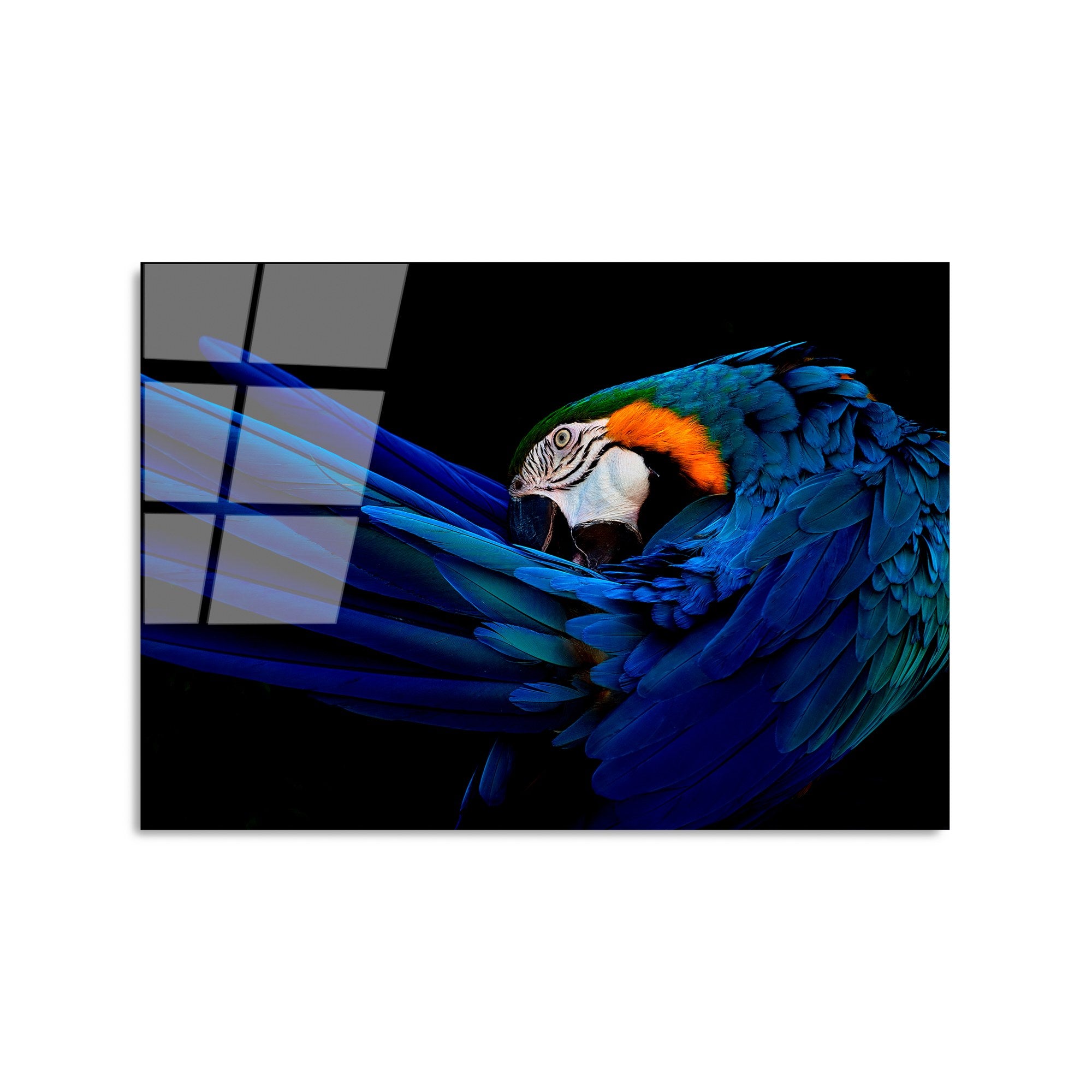 Quadro Decorativo em Vidro Temperado UV-285 50 x 70 cm – Multicolor, 4 mm