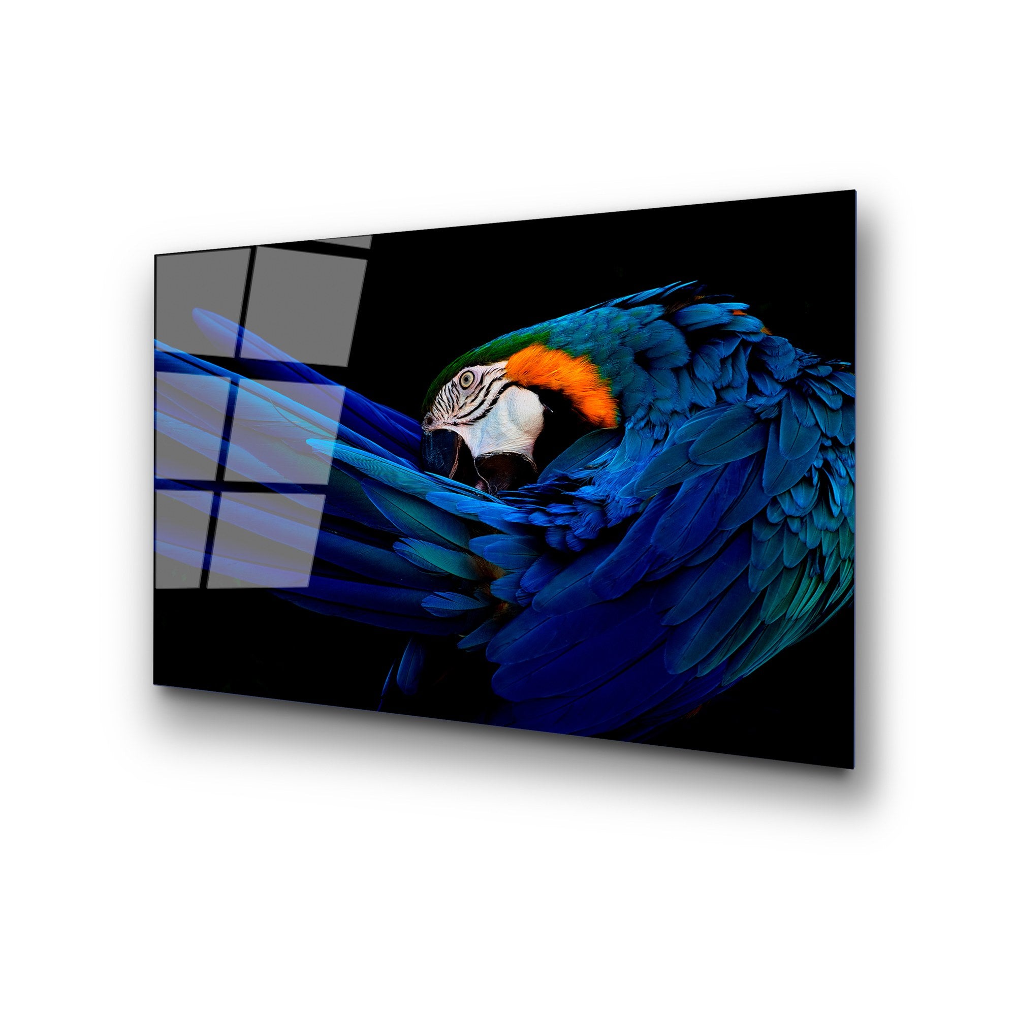 Quadro Decorativo em Vidro Temperado UV-285 50 x 70 cm – Multicolor, 4 mm