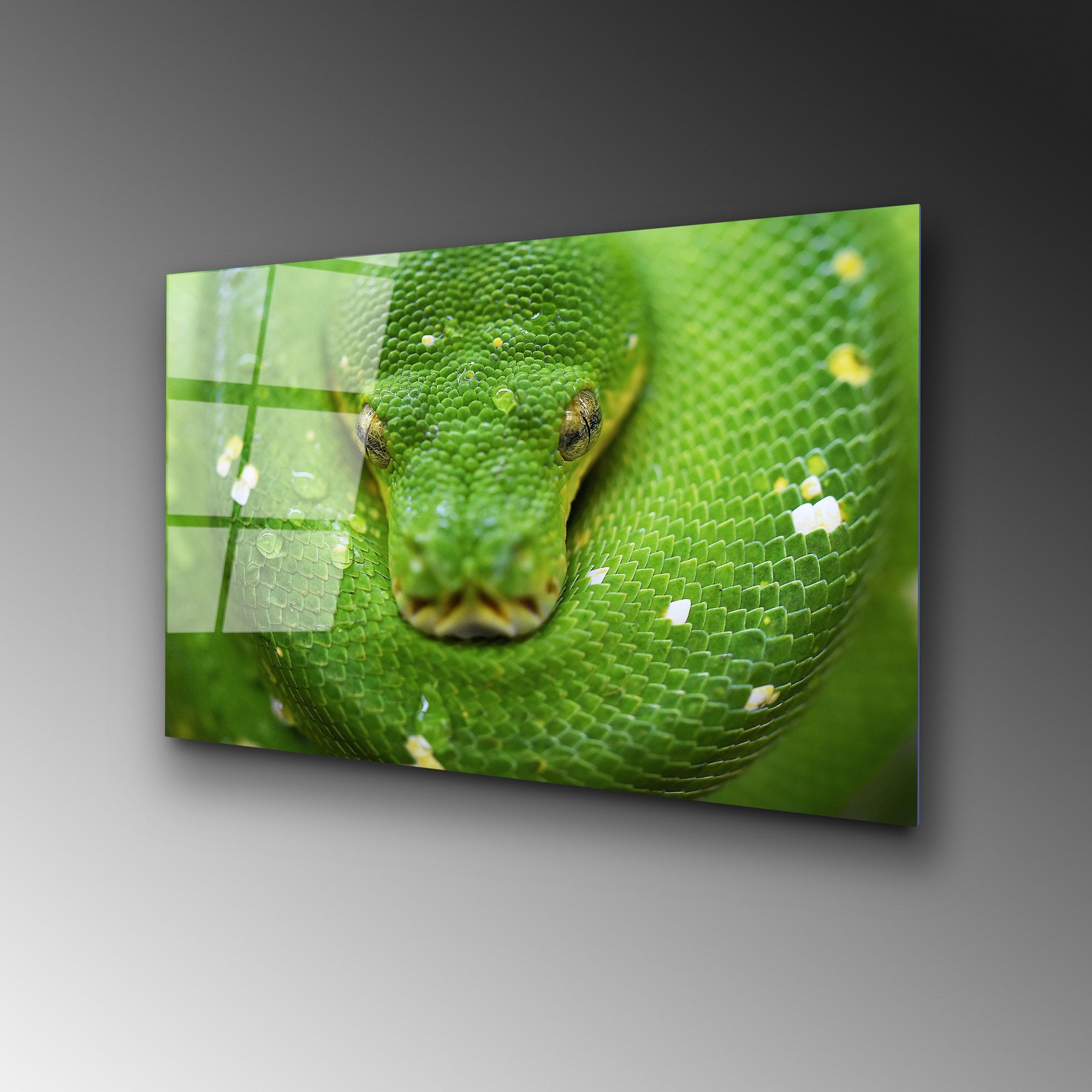 Quadro Decorativo em Vidro Temperado Multicolor 50x70 cm (4 mm) – UV-287