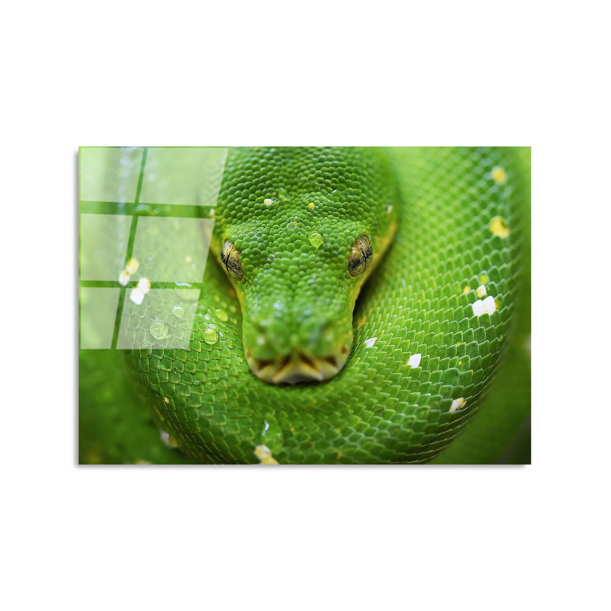 Quadro Decorativo em Vidro Temperado Multicolor 50x70 cm (4 mm) – UV-287