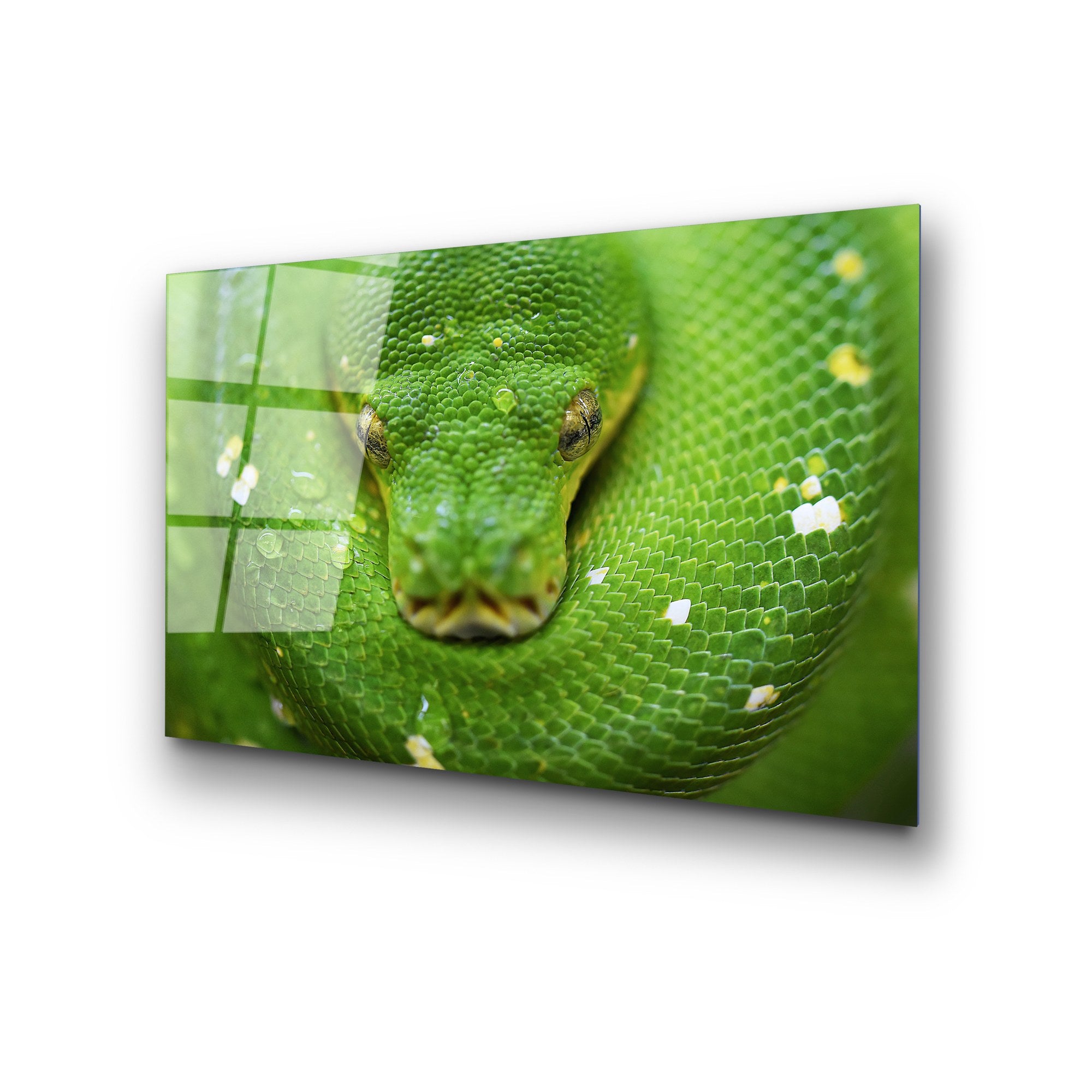 Quadro Decorativo em Vidro Temperado Multicolor 50x70 cm (4 mm) – UV-287