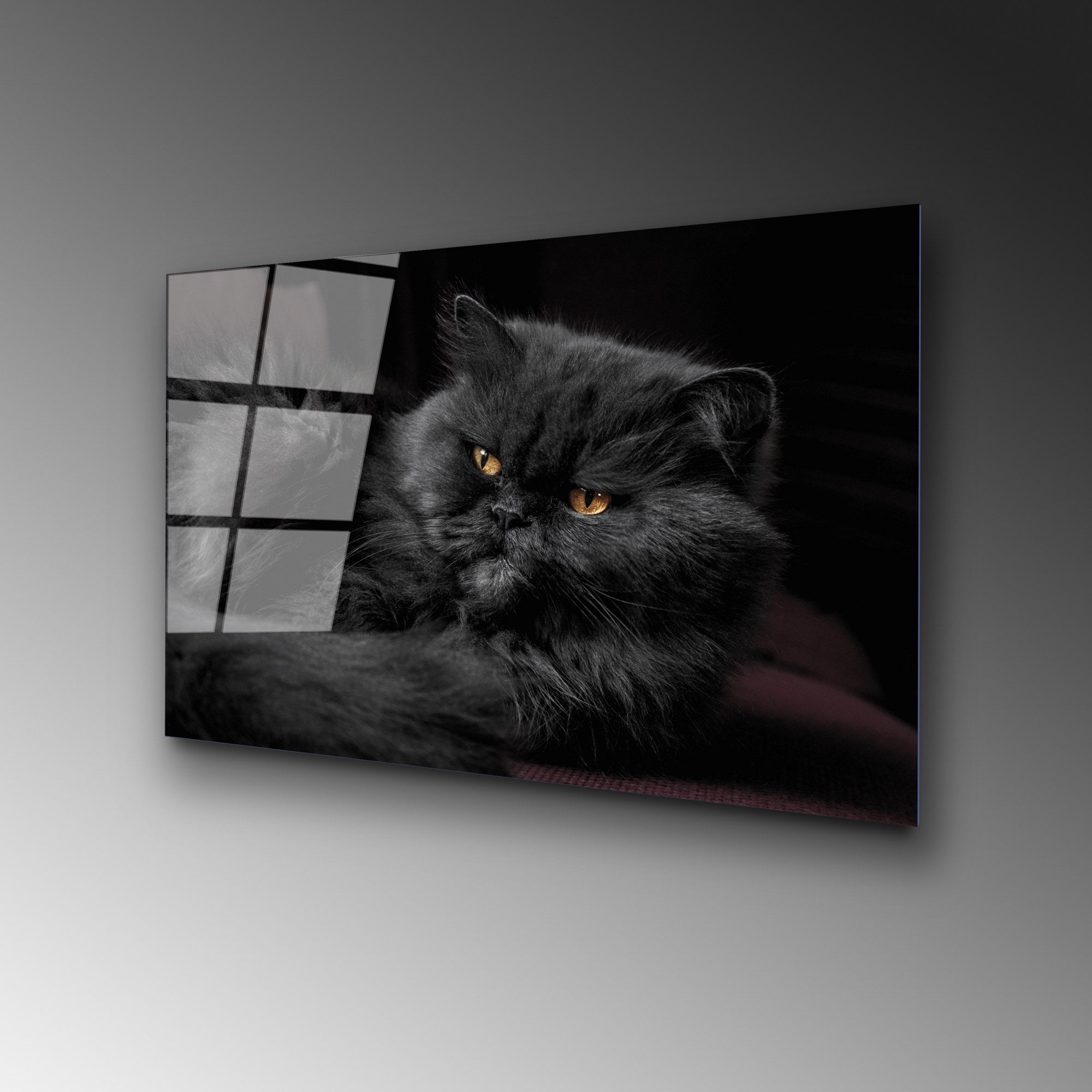 Quadro Decorativo em Vidro Temperado UV-291, Multicolor, 50 x 70 cm (4 mm)