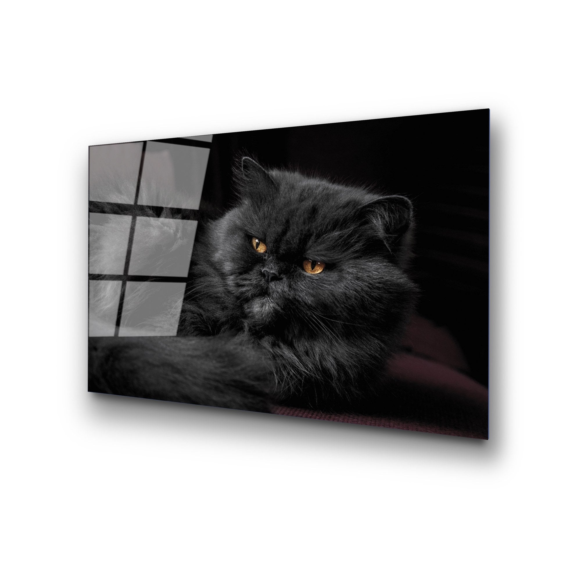 Quadro Decorativo em Vidro Temperado UV-291, Multicolor, 50 x 70 cm (4 mm)