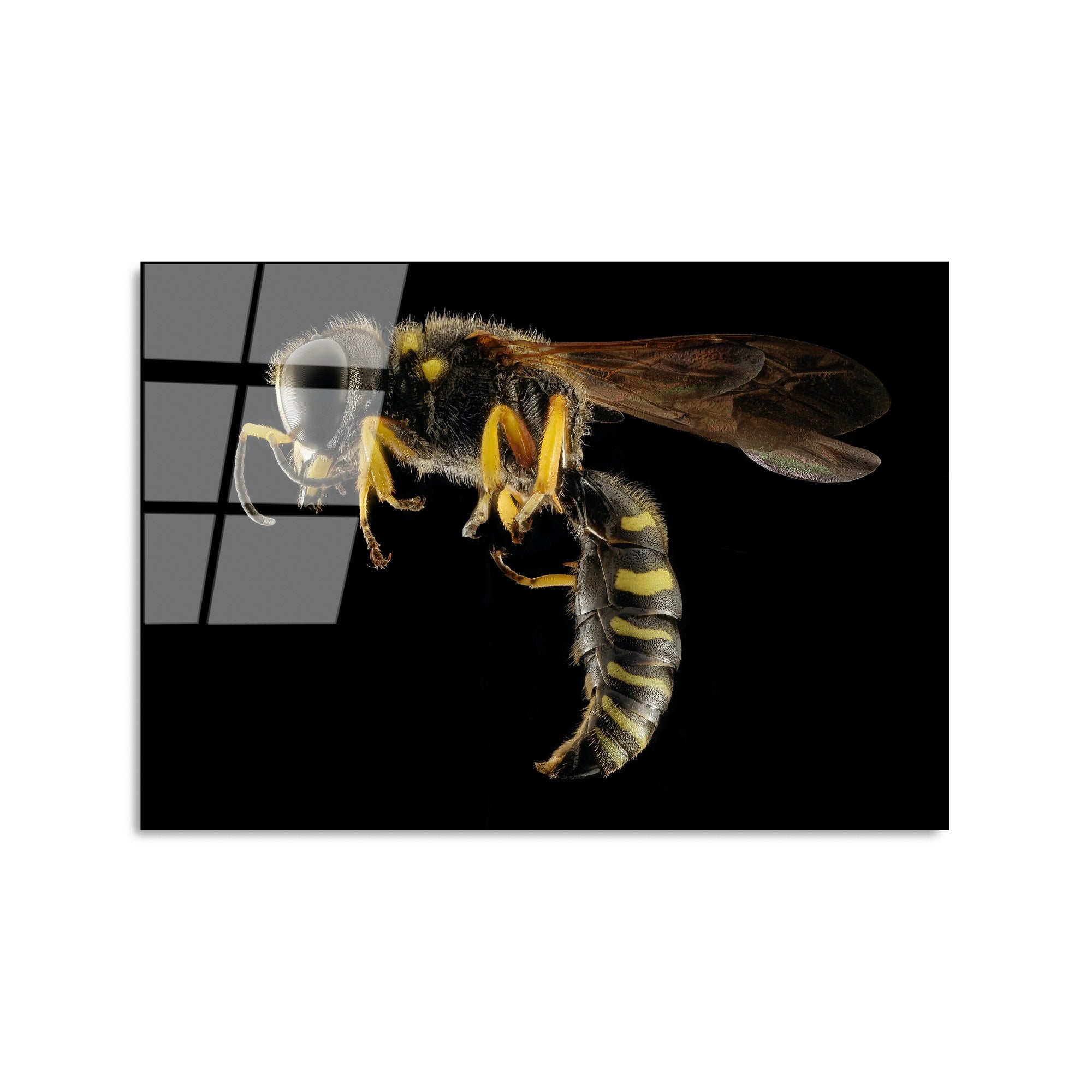 Quadro Decorativo em Vidro Temperado 50 x 70 cm (4 mm), Multicolor – UV-292