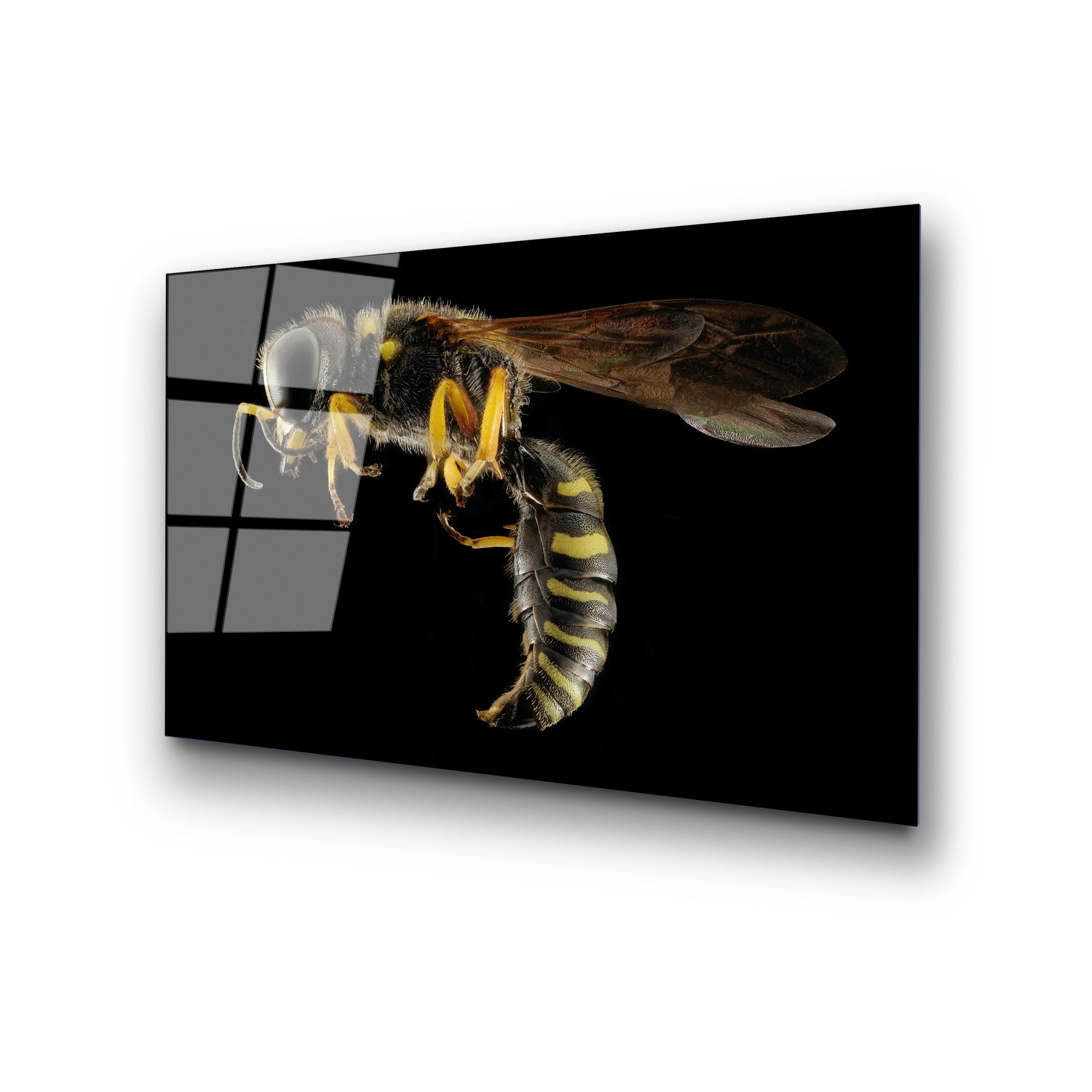 Quadro Decorativo em Vidro Temperado 50 x 70 cm (4 mm), Multicolor – UV-292