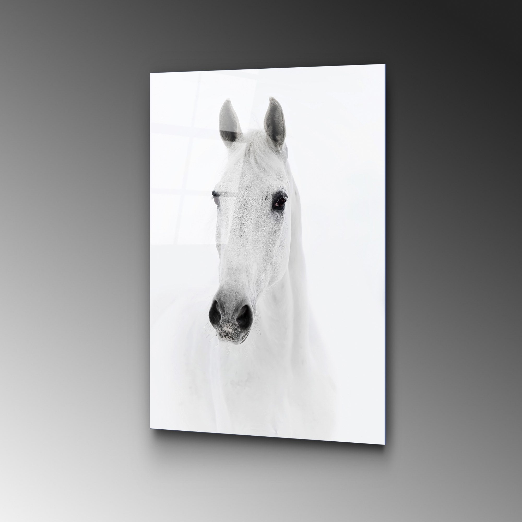 Quadro Decorativo em Vidro Temperado UV-295 50x70 cm, Multicolor, 4 mm