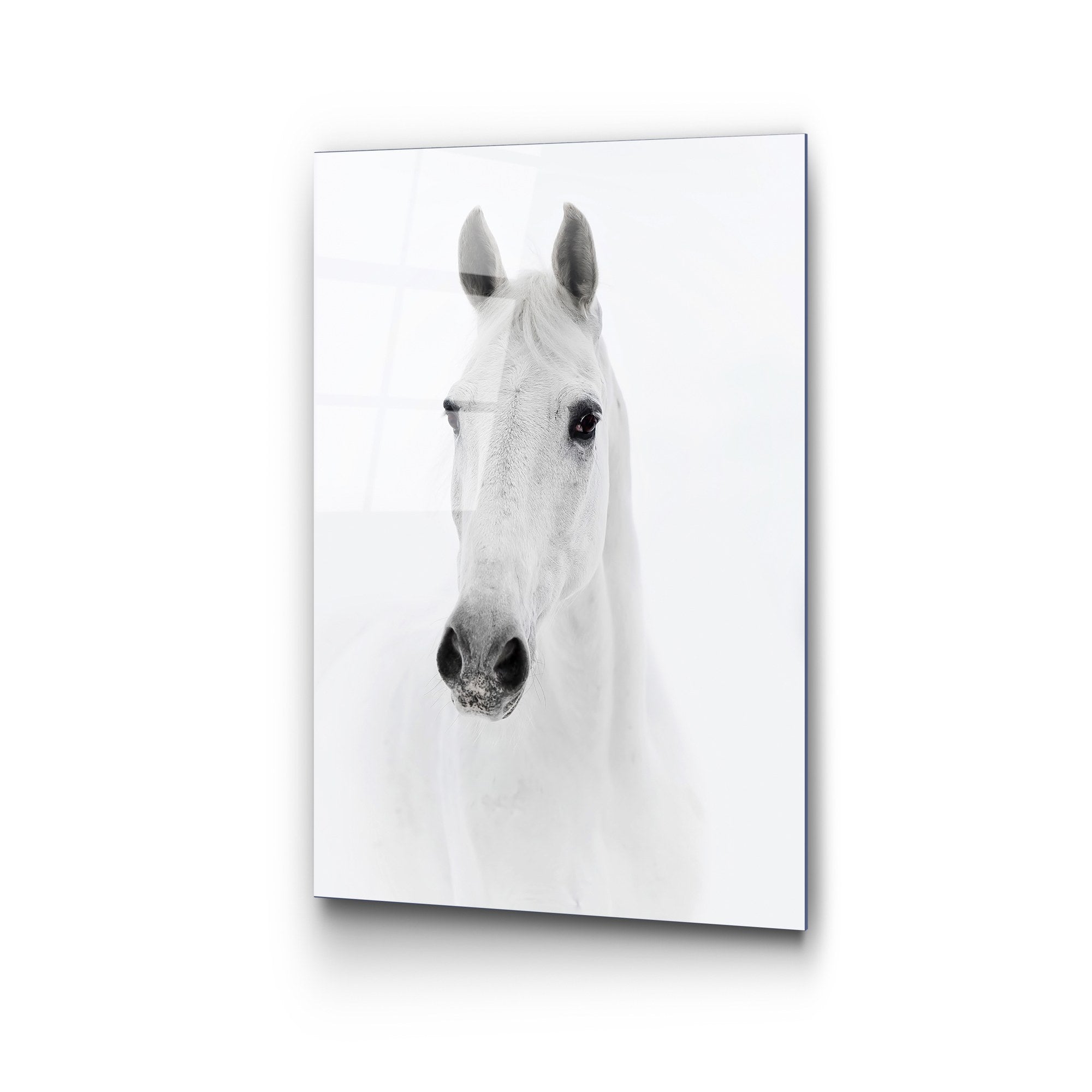 Quadro Decorativo em Vidro Temperado UV-295 50x70 cm, Multicolor, 4 mm