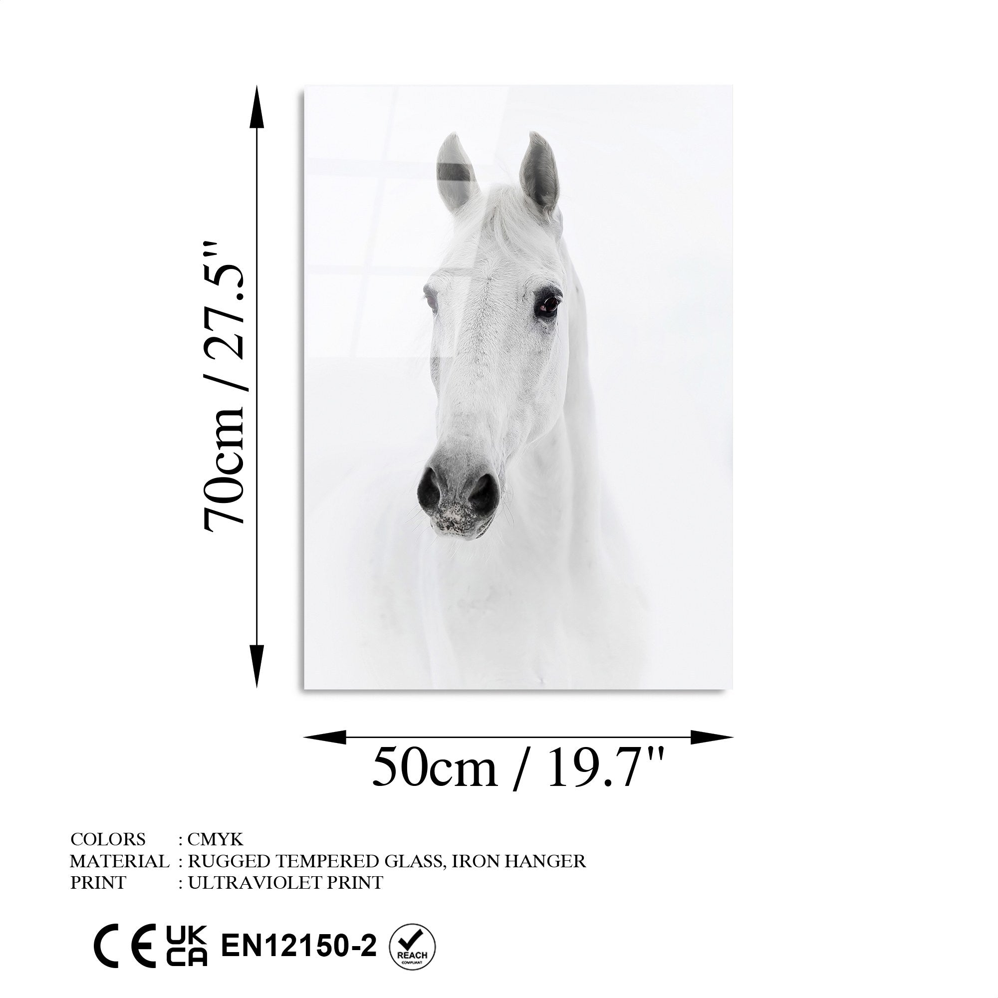 Quadro Decorativo em Vidro Temperado UV-295 50x70 cm, Multicolor, 4 mm