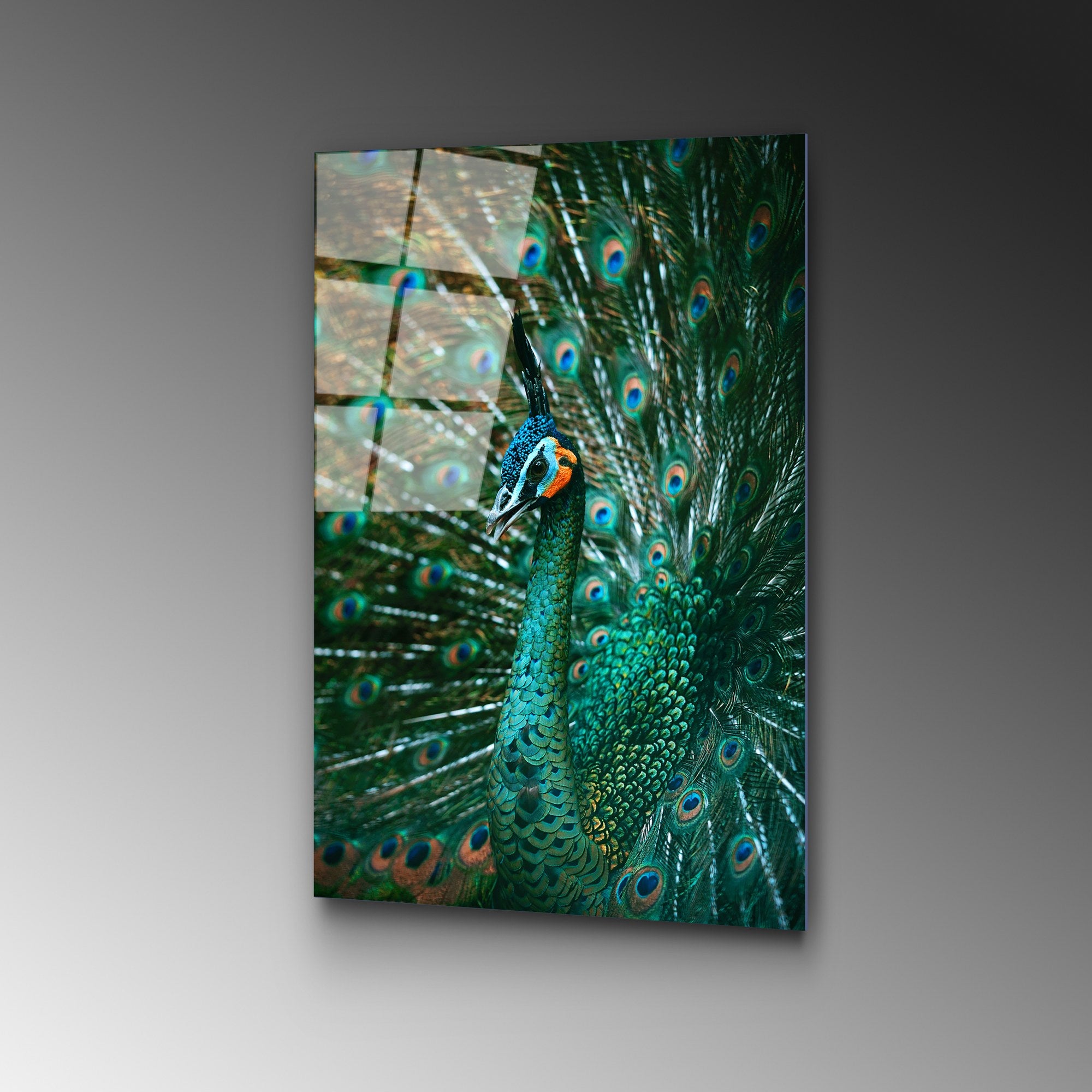 Quadro Decorativo em Vidro Temperado UV-299, 50 x 70 cm, Multicolor, 4 mm