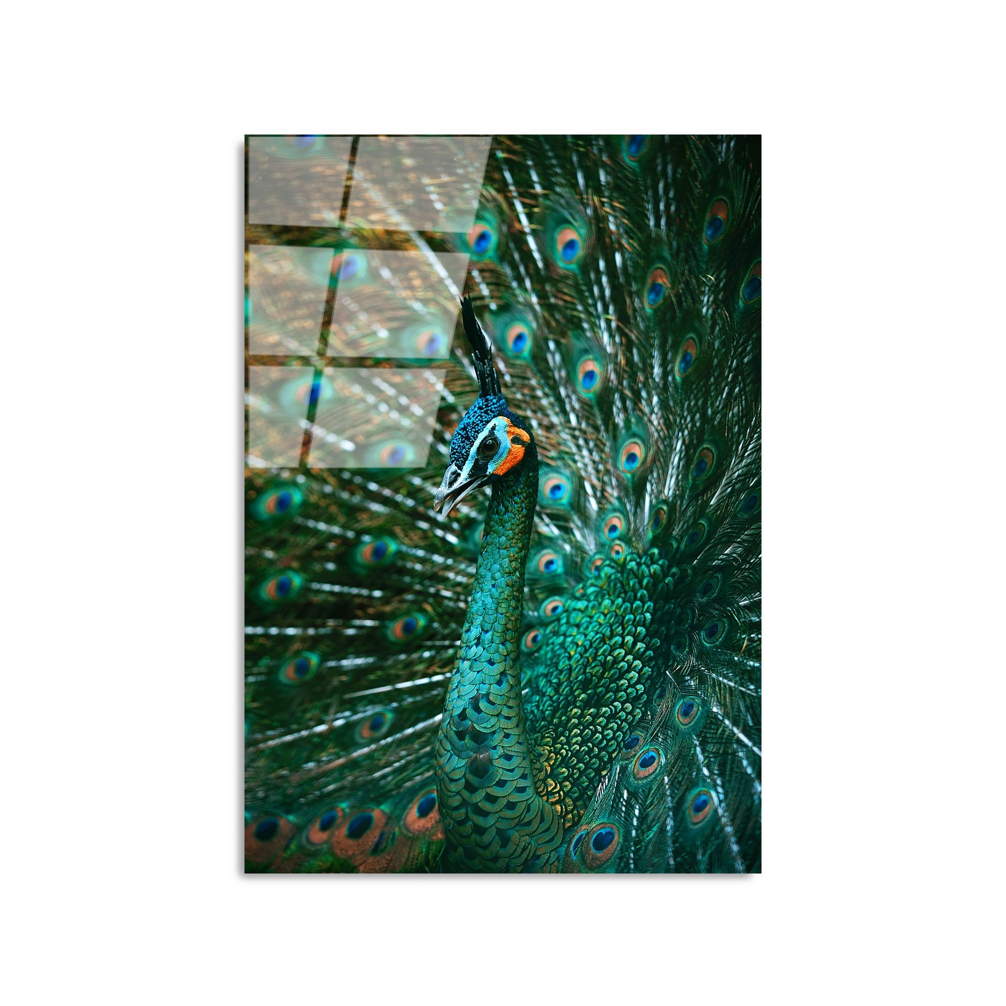 Quadro Decorativo em Vidro Temperado UV-299, 50 x 70 cm, Multicolor, 4 mm