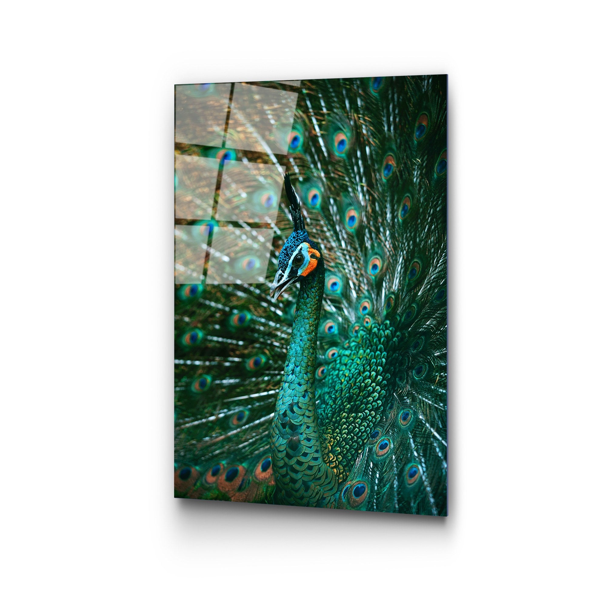 Quadro Decorativo em Vidro Temperado UV-299, 50 x 70 cm, Multicolor, 4 mm