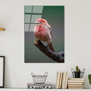 Quadro Decorativo em Vidro Temperado UV-300, Multicolor, 50 x 70 cm (4 mm)