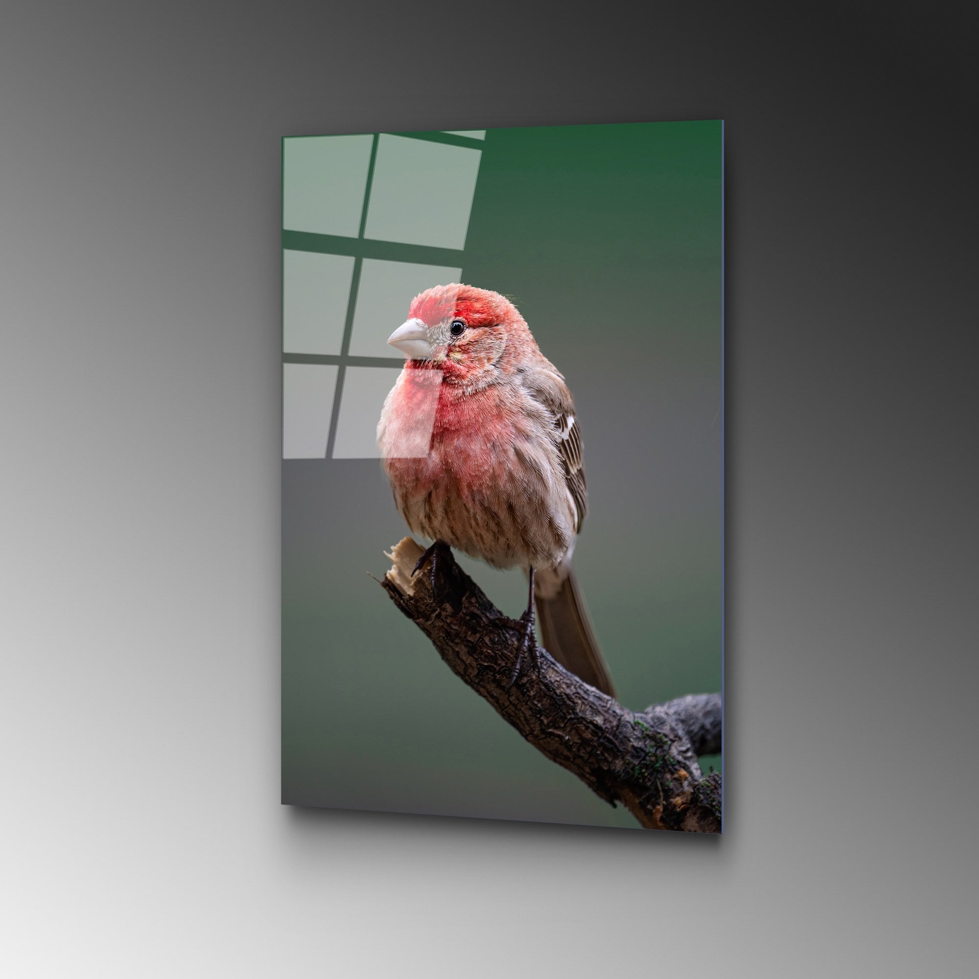 Quadro Decorativo em Vidro Temperado UV-300, Multicolor, 50 x 70 cm (4 mm)