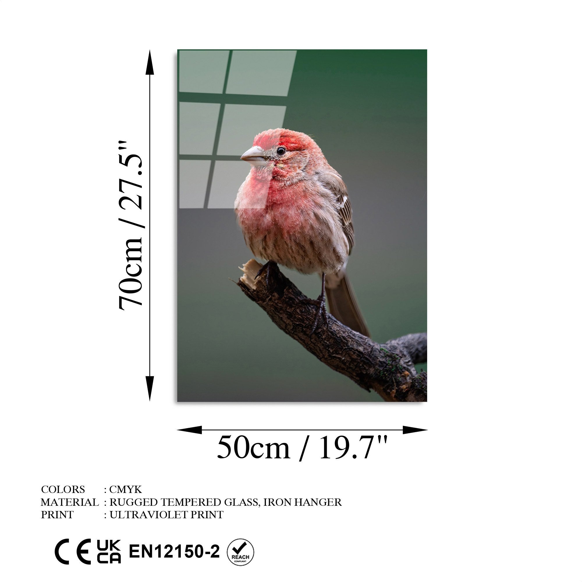 Quadro Decorativo em Vidro Temperado UV-300, Multicolor, 50 x 70 cm (4 mm)